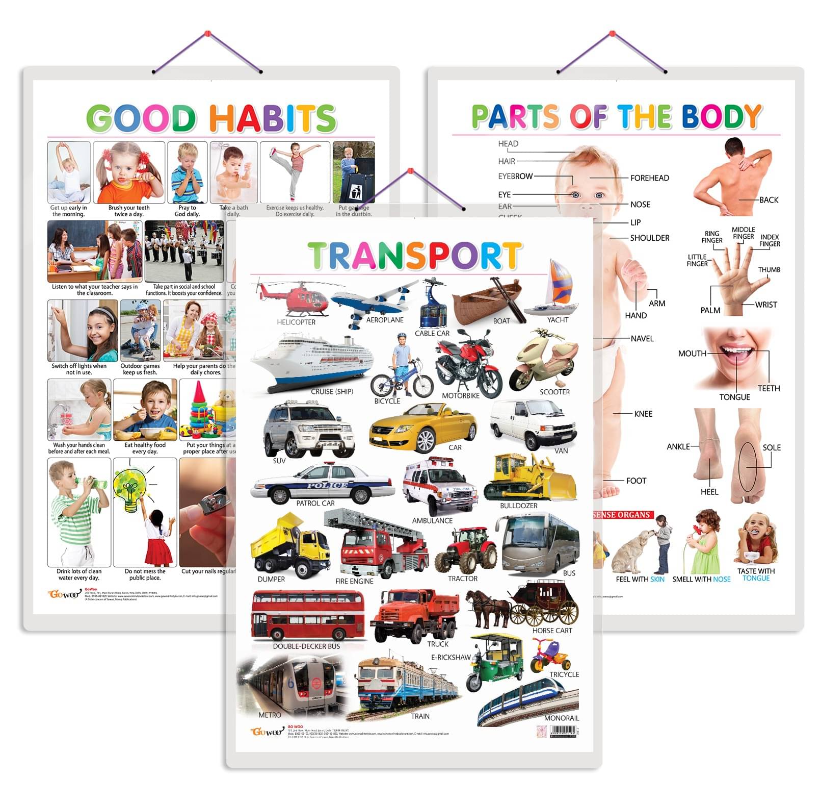 Set of 3 Parts of the Body, Good Habits and Transport Chart for Kids | 20"X30" inch |Non-Tearable and Waterproof | Double Sided Laminated | Perfect for Homeschooling, Kindergarten and Nursery Students Set of 3 Parts of the Body, Good Habits and Transport Chart for Kids | 20"X30" inch |Non-Tearable and Waterproof | Double Sided Laminated | Perfect for Homeschooling, Kindergarten and Nursery Students