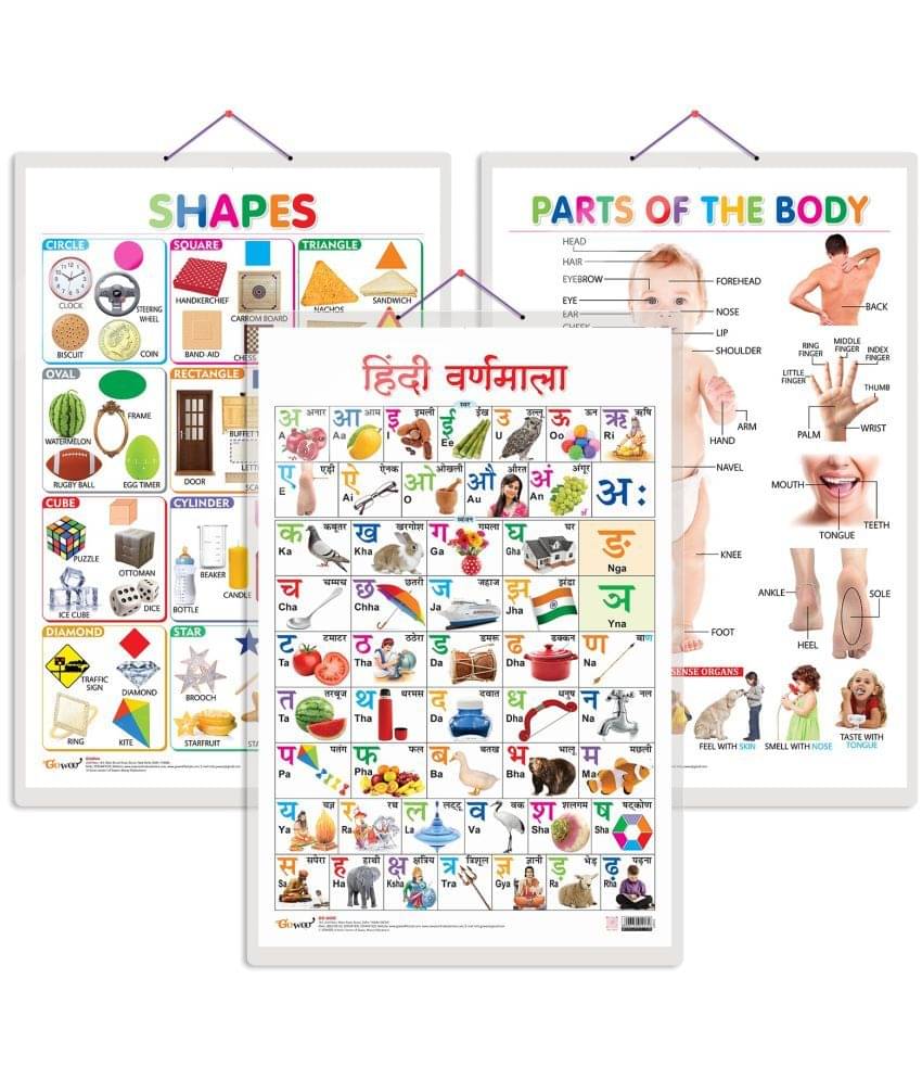 Set of 3 Shapes, Parts of the Body and Hindi Varnamala Chart for Kids | 20"X30" inch |Non-Tearable and Waterproof | Double Sided Laminated | Perfect for Homeschooling, Kindergarten and Nursery Students Set of 3 Shapes, Parts of the Body and Hindi Varnamala Chart for Kids | 20"X30" inch |Non-Tearable and Waterproof | Double Sided Laminated | Perfect for Homeschooling, Kindergarten and Nursery Students
