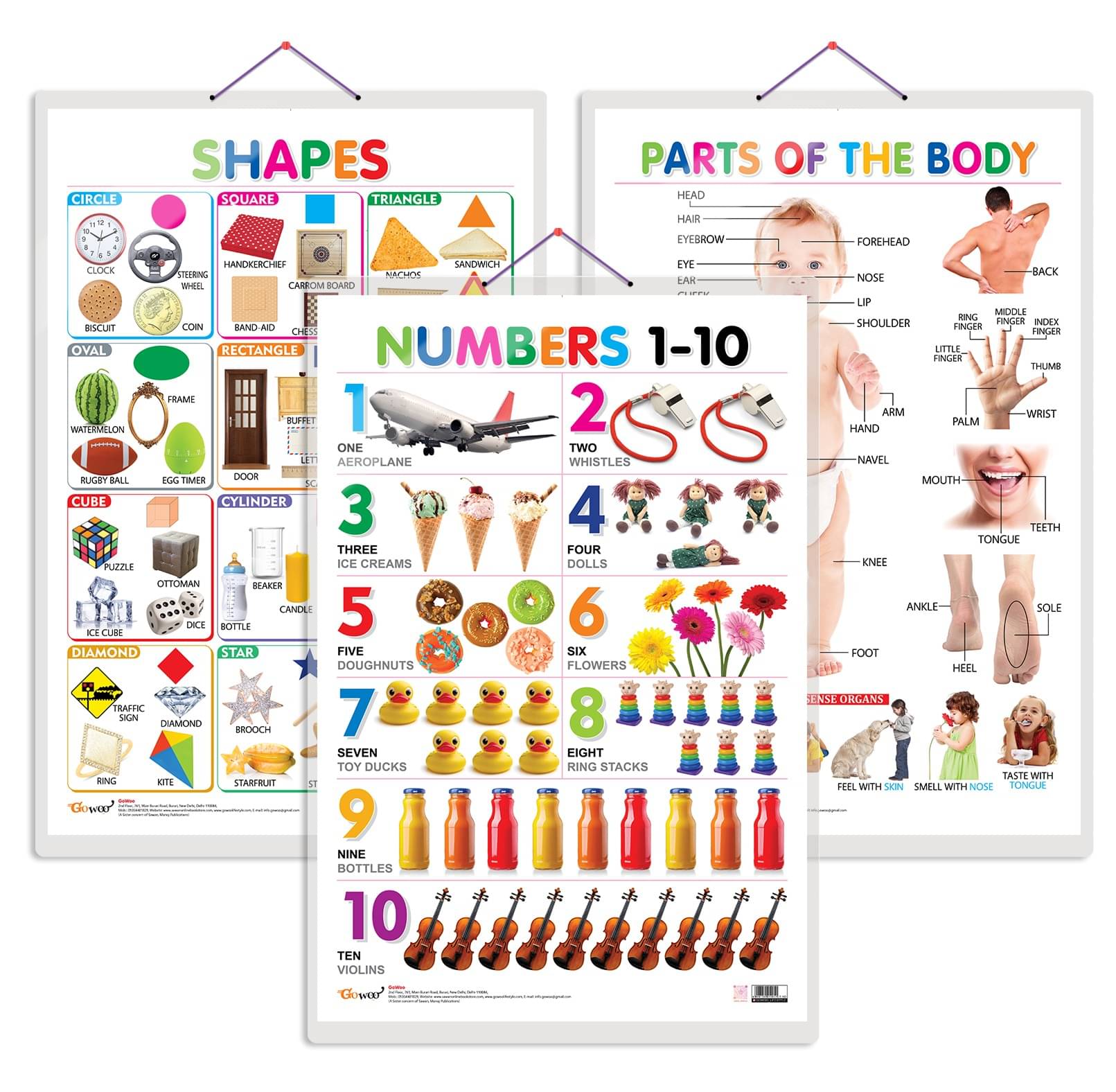 Set of 3 Shapes, Parts of the Body and Numbers 1-10 Chart for Kids | 20"X30" inch |Non-Tearable and Waterproof | Double Sided Laminated | Perfect for Homeschooling, Kindergarten and Nursery Students Set of 3 Shapes, Parts of the Body and Numbers 1-10 Chart for Kids | 20"X30" inch |Non-Tearable and Waterproof | Double Sided Laminated | Perfect for Homeschooling, Kindergarten and Nursery Students