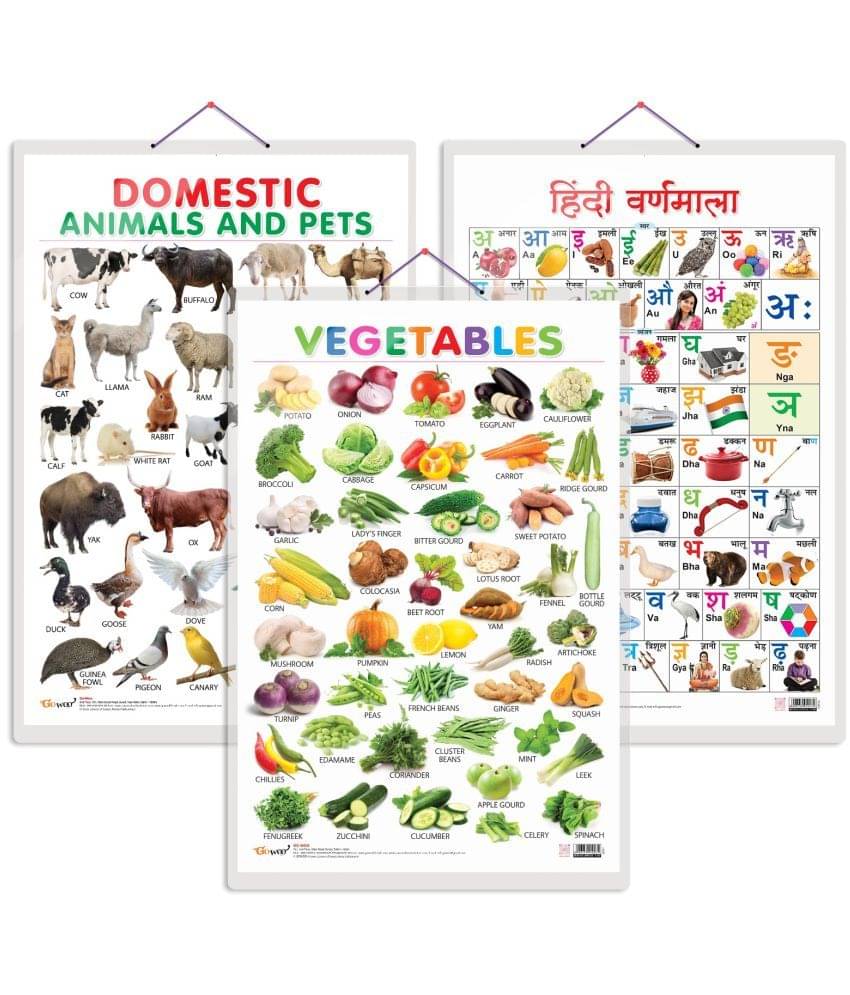 Set of 3 Vegetables, Domestic Animals and Pets and Hindi Varnamala Early Learning Educational Charts for Kids | 20"X30" inch |Non-Tearable and Waterproof | Double Sided Laminated | Perfect for Homeschooling, Kindergarten and Nursery Students Set of 3 Vegetables, Domestic Animals and Pets and Hindi Varnamala Early Learning Educational Charts for Kids | 20"X30" inch |Non-Tearable and Waterproof | Double Sided Laminated | Perfect for Homeschooling, Kindergarten and Nursery Students