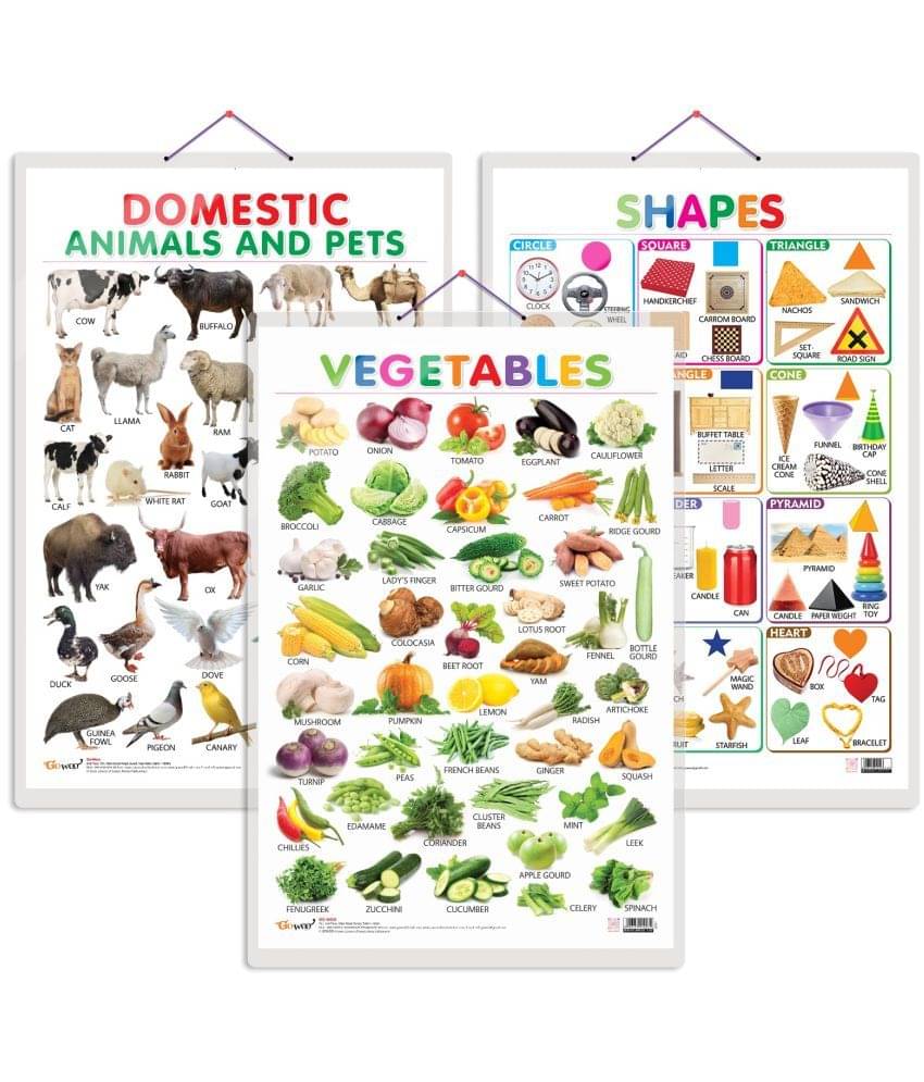 Set of 3 Vegetables, Domestic Animals and Pets and Shapes Early Learning Educational Charts for Kids | 20"X30" inch |Non-Tearable and Waterproof | Double Sided Laminated | Perfect for Homeschooling, Kindergarten and Nursery Students Set of 3 Vegetables, Domestic Animals and Pets and Shapes Early Learning Educational Charts for Kids | 20"X30" inch |Non-Tearable and Waterproof | Double Sided Laminated | Perfect for Homeschooling, Kindergarten and Nursery Students