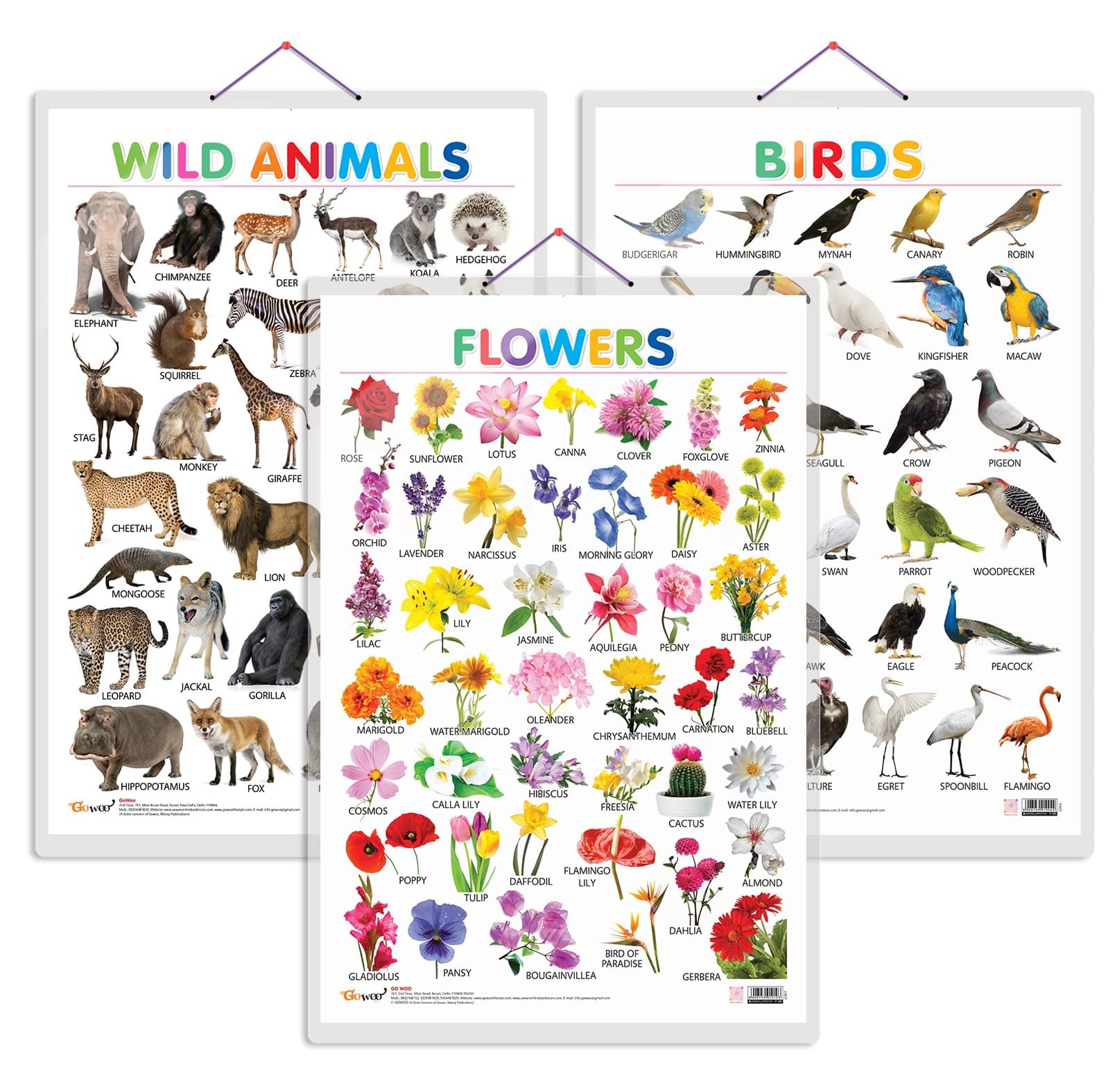     			Set of 3 Wild Animals, Birds and Flowers Early Learning Educational Charts for Kids | 20"X30" inch |Non-Tearable and Waterproof | Double Sided Laminated | Perfect for Homeschooling, Kindergarten and Nursery Students