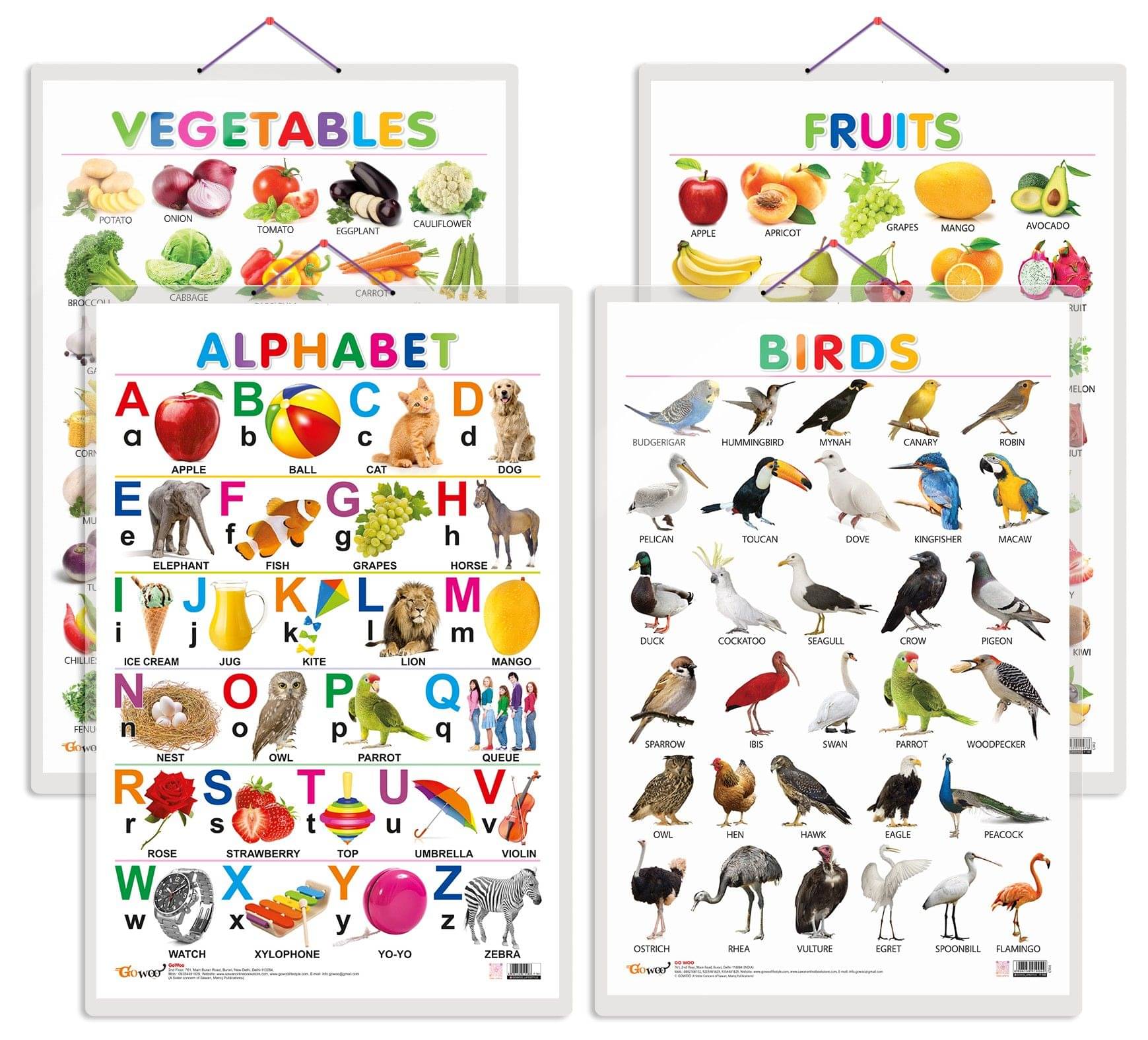 Set of 4 Alphabet, Fruits, Vegetables and Birds Early Learning Educational Charts for Kids | 20"X30" inch |Non-Tearable and Waterproof | Double Sided Laminated | Perfect for Homeschooling, Kindergarten and Nursery Students Set of 4 Alphabet, Fruits, Vegetables and Birds Early Learning Educational Charts for Kids | 20"X30" inch |Non-Tearable and Waterproof | Double Sided Laminated | Perfect for Homeschooling, Kindergarten and Nursery Students