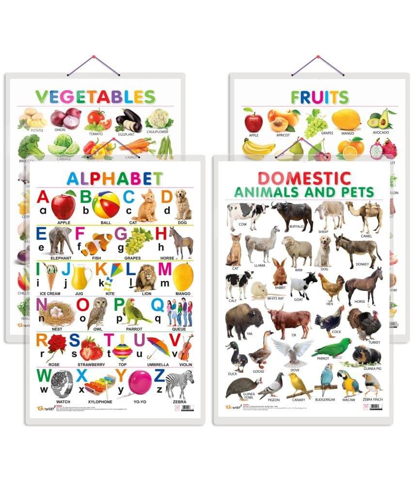 Set of 4 Alphabet, Fruits, Vegetables, Domestic Animals and Pets Early Learning Educational Charts for Kids | 20"X30" inch |Non-Tearable and Waterproof | Double Sided Laminated | Perfect for Homeschooling, Kindergarten and Nursery Students Set of 4 Alphabet, Fruits, Vegetables, Domestic Animals and Pets Early Learning Educational Charts for Kids | 20"X30" inch |Non-Tearable and Waterproof | Double Sided Laminated | Perfect for Homeschooling, Kindergarten and Nursery Students