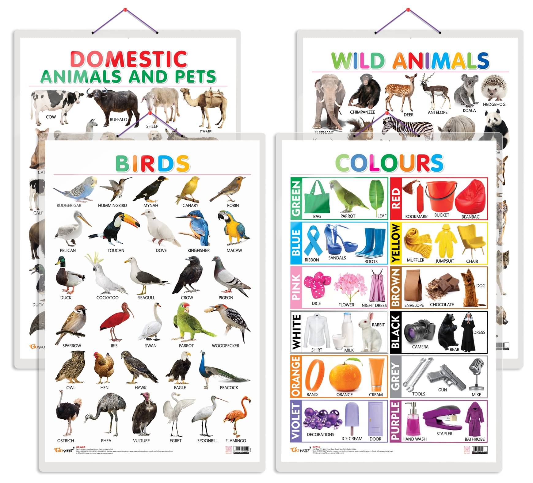 Set of 4 Domestic Animals and Pets, Wild Animals, Birds and Colours Early Learning Educational Charts for Kids | 20"X30" inch |Non-Tearable and Waterproof | Double Sided Laminated | Perfect for Homeschooling, Kindergarten and Nursery Students Set of 4 Domestic Animals and Pets, Wild Animals, Birds and Colours Early Learning Educational Charts for Kids | 20"X30" inch |Non-Tearable and Waterproof | Double Sided Laminated | Perfect for Homeschooling, Kindergarten and Nursery Students