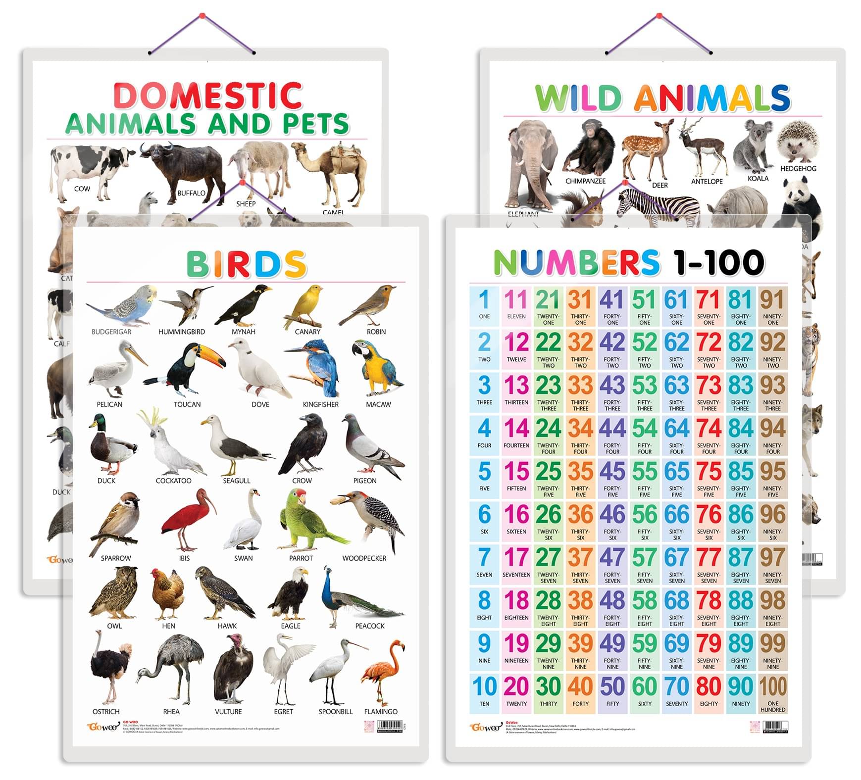     			Set of 4 Domestic Animals and Pets, Wild Animals, Birds and Numbers 1-100 Early Learning Educational Charts for Kids | 20"X30" inch |Non-Tearable and Waterproof | Double Sided Laminated | Perfect for Homeschooling, Kindergarten and Nursery Students
