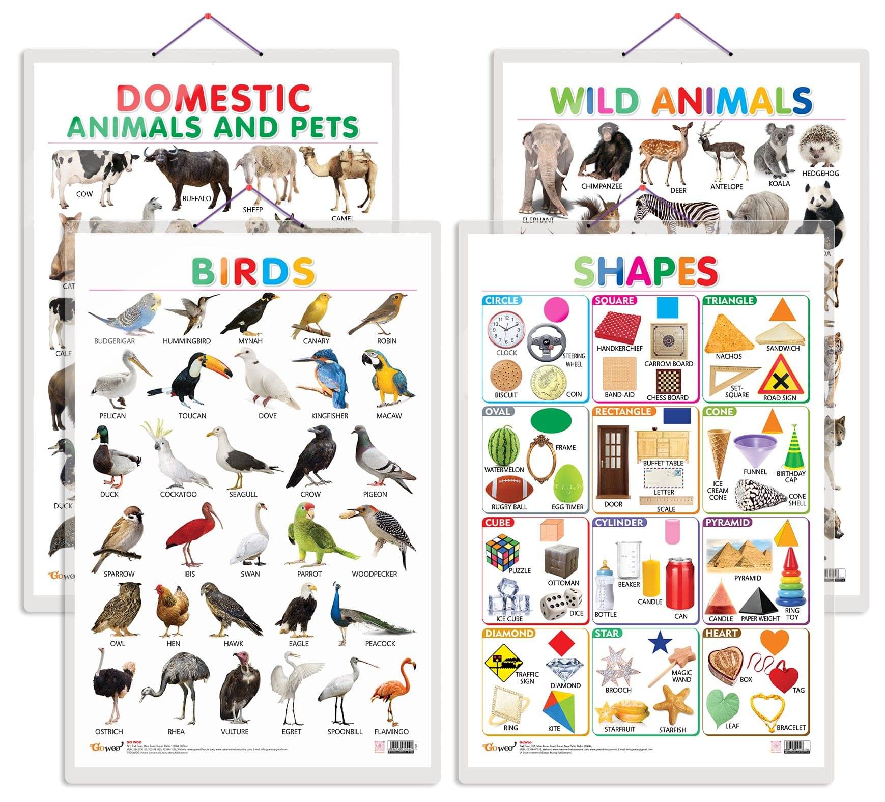 Set of 4 Domestic Animals and Pets, Wild Animals, Birds and Shapes Early Learning Educational Charts for Kids | 20"X30" inch |Non-Tearable and Waterproof | Double Sided Laminated | Perfect for Homeschooling, Kindergarten and Nursery Students Set of 4 Domestic Animals and Pets, Wild Animals, Birds and Shapes Early Learning Educational Charts for Kids | 20"X30" inch |Non-Tearable and Waterproof | Double Sided Laminated | Perfect for Homeschooling, Kindergarten and Nursery Students