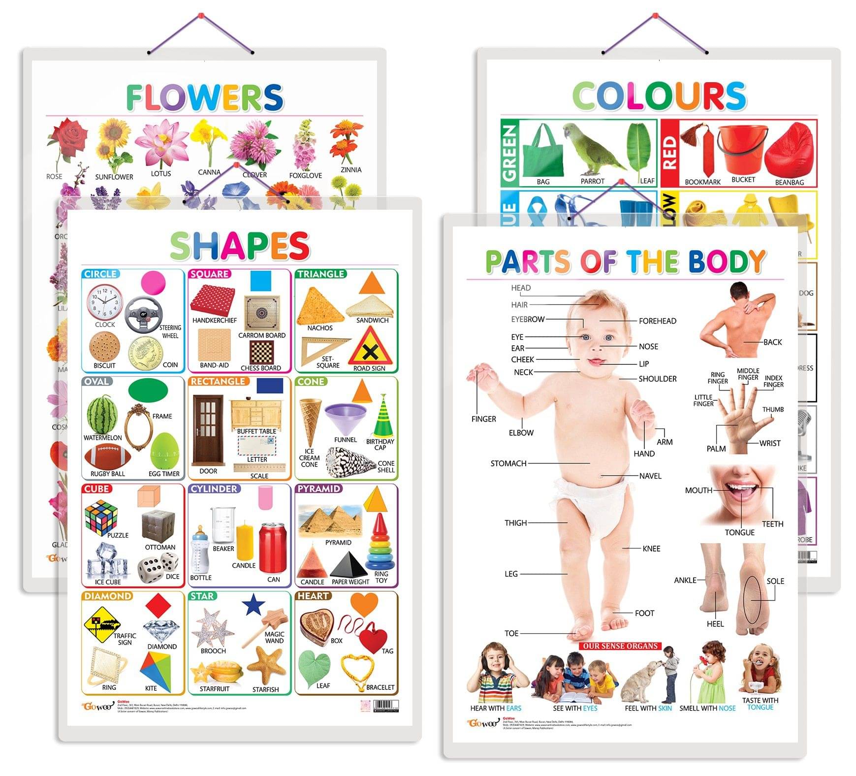 Set of 4 Flowers, Colours, Shapes and Parts of the Body Early Learning Educational Charts for Kids | 20"X30" inch |Non-Tearable and Waterproof | Double Sided Laminated | Perfect for Homeschooling, Kindergarten and Nursery Students Set of 4 Flowers, Colours, Shapes and Parts of the Body Early Learning Educational Charts for Kids | 20"X30" inch |Non-Tearable and Waterproof | Double Sided Laminated | Perfect for Homeschooling, Kindergarten and Nursery Students