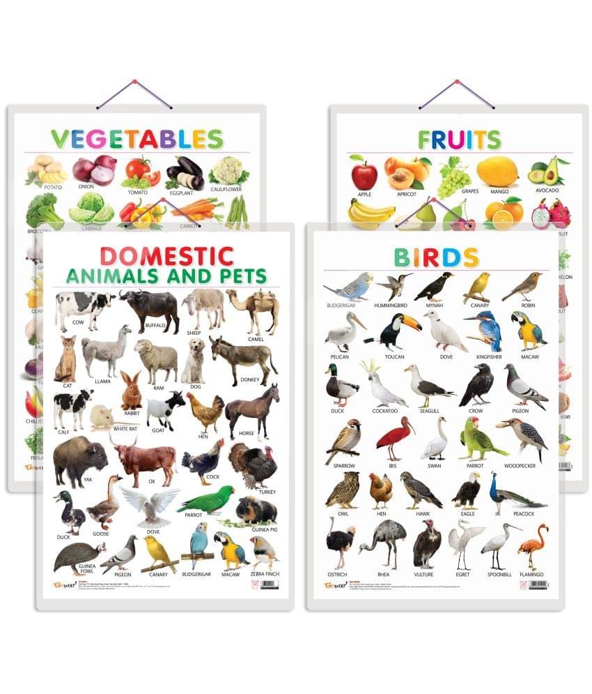 Set of 4 Fruits, Vegetables, Domestic Animals and Pets and Birds Early Learning Educational Charts for Kids | 20"X30" inch |Non-Tearable and Waterproof | Double Sided Laminated | Perfect for Homeschooling, Kindergarten and Nursery Students Set of 4 Fruits, Vegetables, Domestic Animals and Pets and Birds Early Learning Educational Charts for Kids | 20"X30" inch |Non-Tearable and Waterproof | Double Sided Laminated | Perfect for Homeschooling, Kindergarten and Nursery Students