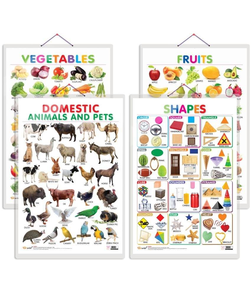 Set of 4 Fruits, Vegetables, Domestic Animals and Pets and Shapes Early Learning Educational Charts for Kids | 20"X30" inch |Non-Tearable and Waterproof | Double Sided Laminated | Perfect for Homeschooling, Kindergarten and Nursery Students Set of 4 Fruits, Vegetables, Domestic Animals and Pets and Shapes Early Learning Educational Charts for Kids | 20"X30" inch |Non-Tearable and Waterproof | Double Sided Laminated | Perfect for Homeschooling, Kindergarten and Nursery Students
