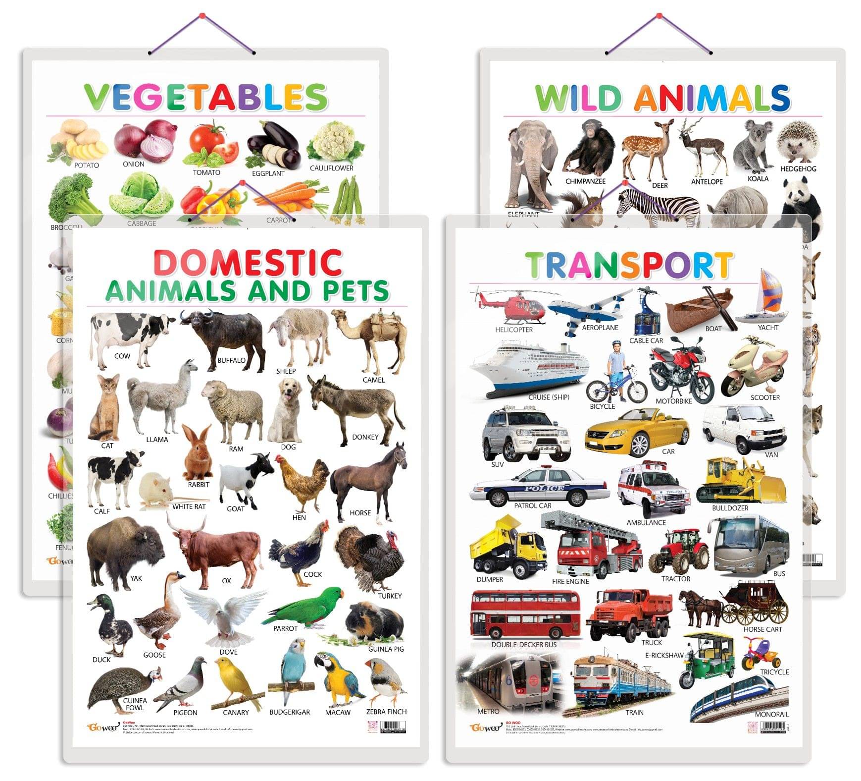     			Set of 4 Vegetables, Domestic Animals and Pets, Wild Animals and Transport Early Learning Educational Charts for Kids | 20"X30" inch |Non-Tearable and Waterproof | Double Sided Laminated | Perfect for Homeschooling, Kindergarten and Nursery Students
