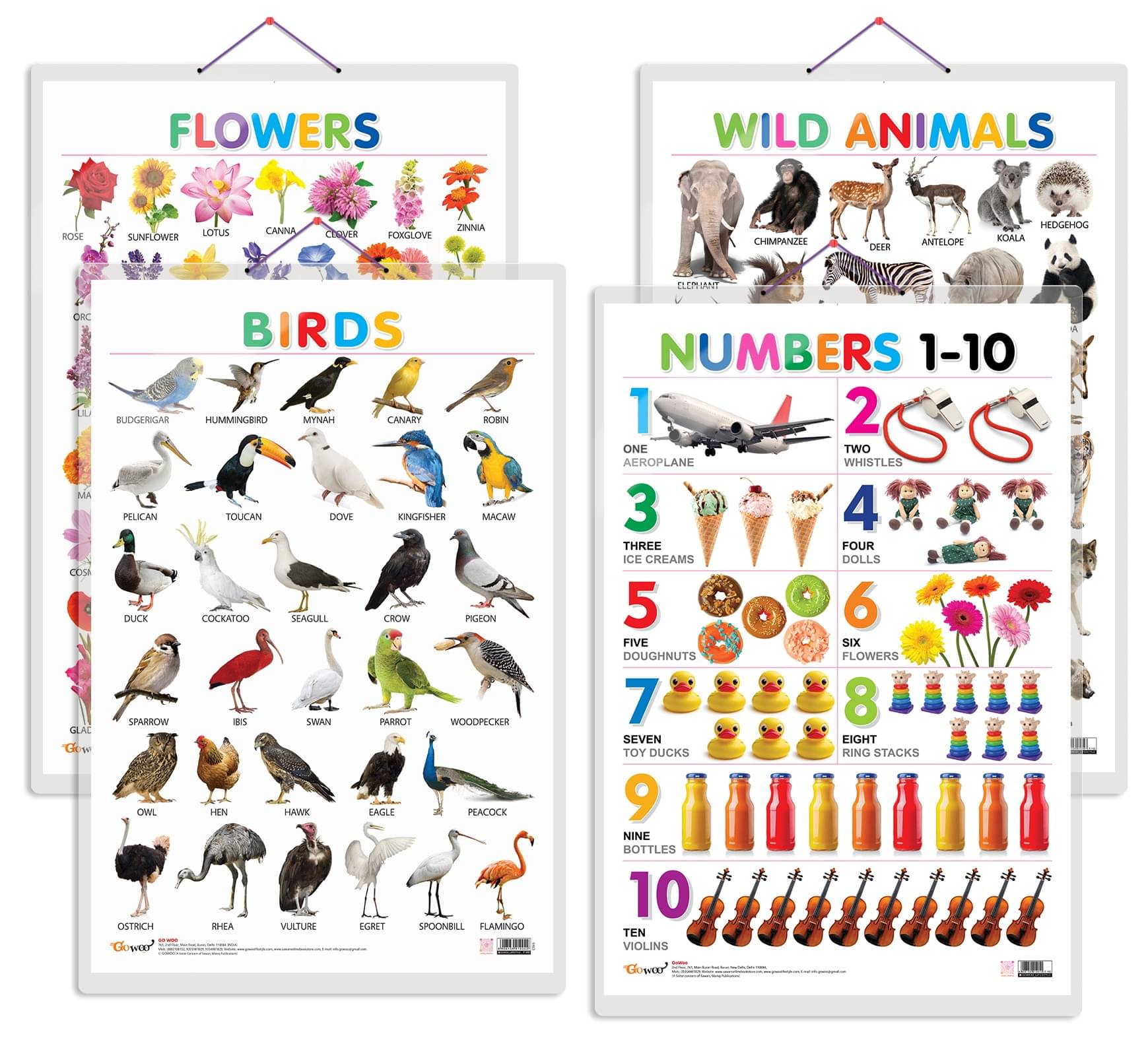 Set of 4 Wild Animals, Birds, Flowers and Numbers 1-10 Early Learning Educational Charts for Kids | 20"X30" inch |Non-Tearable and Waterproof | Double Sided Laminated | Perfect for Homeschooling, Kindergarten and Nursery Students Set of 4 Wild Animals, Birds, Flowers and Numbers 1-10 Early Learning Educational Charts for Kids | 20"X30" inch |Non-Tearable and Waterproof | Double Sided Laminated | Perfect for Homeschooling, Kindergarten and Nursery Students