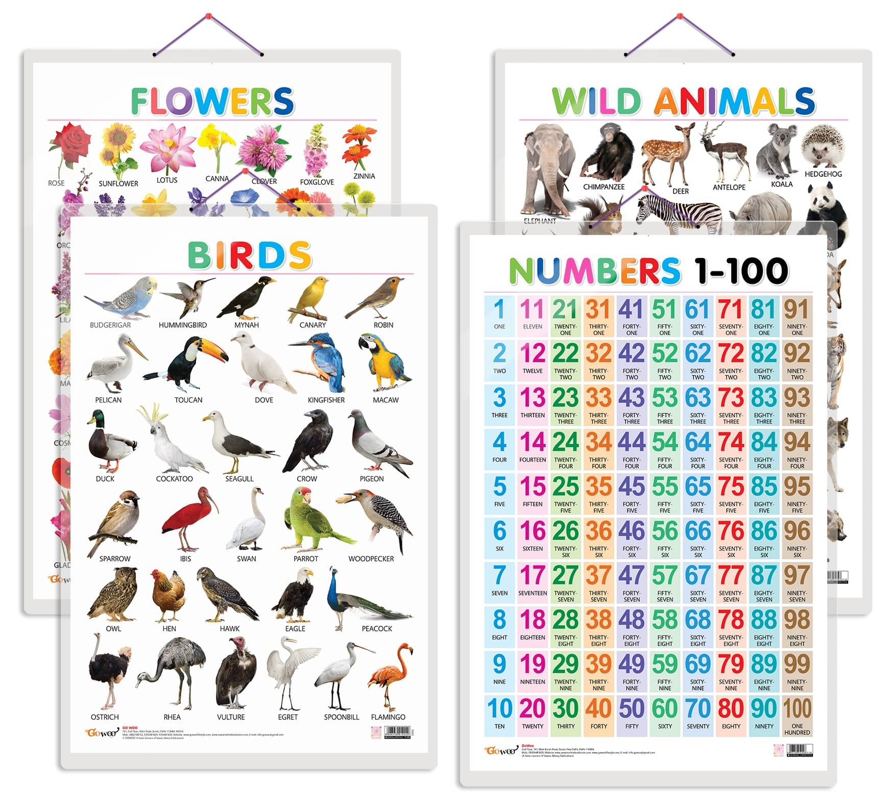     			Set of 4 Wild Animals, Birds, Flowers and Numbers 1-100 Early Learning Educational Charts for Kids | 20"X30" inch |Non-Tearable and Waterproof | Double Sided Laminated | Perfect for Homeschooling, Kindergarten and Nursery Students