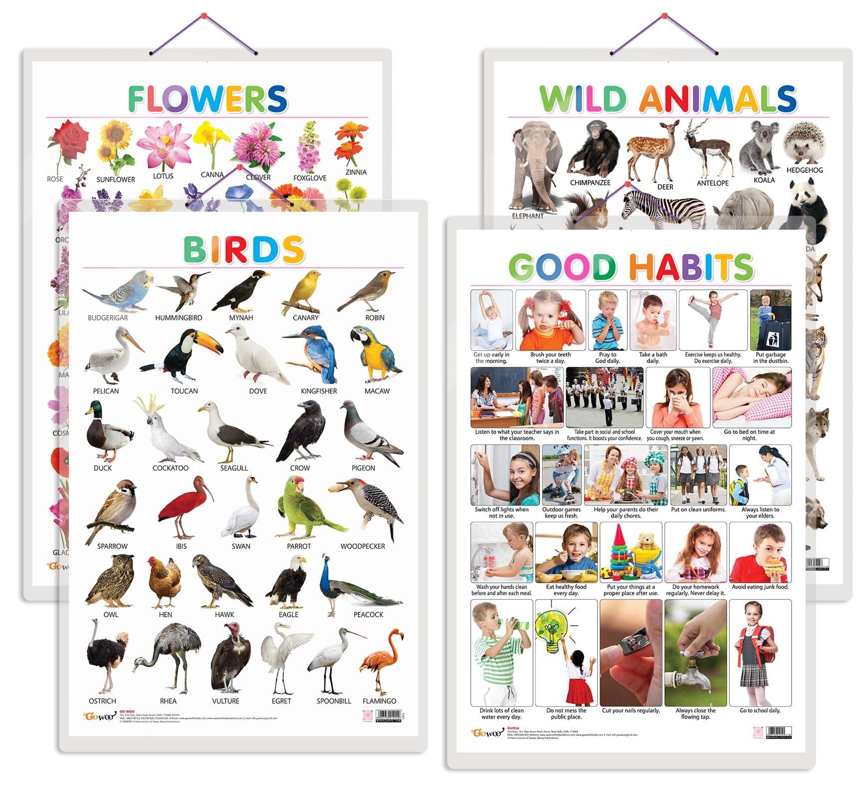 Set of 4 Wild Animals, Birds, Flowers and Good Habits Early Learning Educational Charts for Kids | 20"X30" inch |Non-Tearable and Waterproof | Double Sided Laminated | Perfect for Homeschooling, Kindergarten and Nursery Students Set of 4 Wild Animals, Birds, Flowers and Good Habits Early Learning Educational Charts for Kids | 20"X30" inch |Non-Tearable and Waterproof | Double Sided Laminated | Perfect for Homeschooling, Kindergarten and Nursery Students
