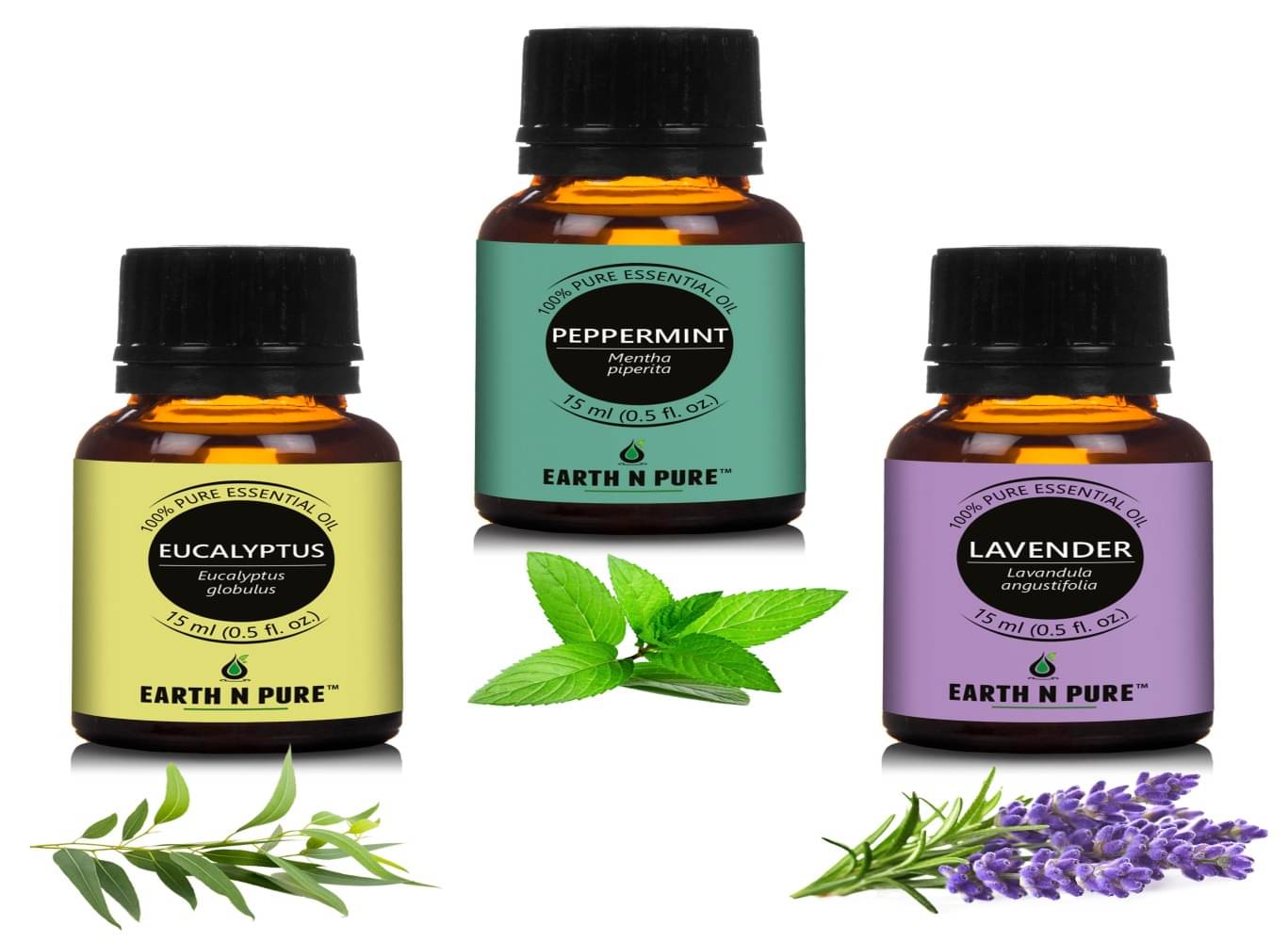     			Earth N Pure - Eucalyptus Essential Oil 15 mL ( Pack of 3 )