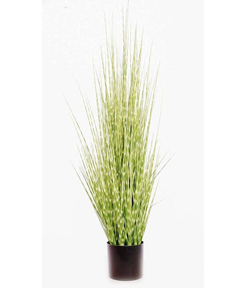     			Garden Art - Green Wild Artificial Flower ( Pack of 1 )