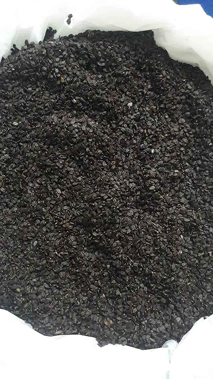 Grade A Sortex Quality - Cleaned & Sorted Talmakhana Seed Powder - Astercantha Longifolia Powder - Talmakkan Powder - 500 Grams Grade A Sortex Quality - Cleaned & Sorted Talmakhana Seed Powder - Astercantha Longifolia Powder - Talmakkan Powder - 500 Grams