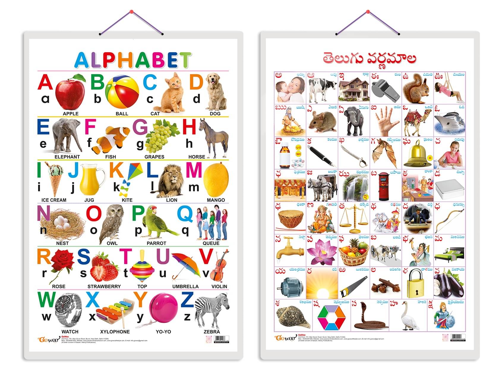 Set of 2 Alphabet and Telugu Alphabet (Telugu) Early Learning Educational Charts for Kids | 20"X30" inch |Non-Tearable and Waterproof | Double Sided Laminated | Perfect for Homeschooling, Kindergarten and Nursery Students Set of 2 Alphabet and Telugu Alphabet (Telugu) Early Learning Educational Charts for Kids | 20"X30" inch |Non-Tearable and Waterproof | Double Sided Laminated | Perfect for Homeschooling, Kindergarten and Nursery Students