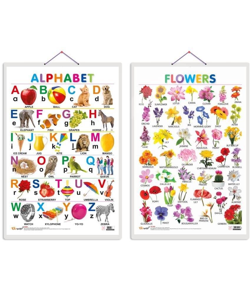 Set of 2 Alphabet and Flowers Early Learning Educational Charts for Kids | 20"X30" inch |Non-Tearable and Waterproof | Double Sided Laminated | Perfect for Homeschooling, Kindergarten and Nursery Students Set of 2 Alphabet and Flowers Early Learning Educational Charts for Kids | 20"X30" inch |Non-Tearable and Waterproof | Double Sided Laminated | Perfect for Homeschooling, Kindergarten and Nursery Students