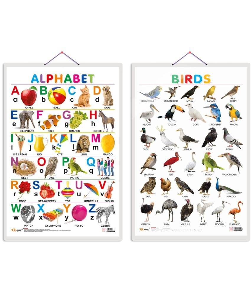Set of 2 Alphabet and Birds Early Learning Educational Charts for Kids | 20"X30" inch |Non-Tearable and Waterproof | Double Sided Laminated | Perfect for Homeschooling, Kindergarten and Nursery Students Set of 2 Alphabet and Birds Early Learning Educational Charts for Kids | 20"X30" inch |Non-Tearable and Waterproof | Double Sided Laminated | Perfect for Homeschooling, Kindergarten and Nursery Students