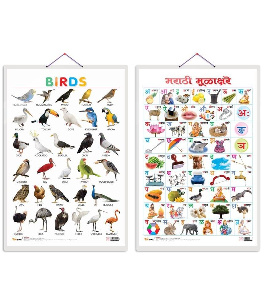 Set of 2 Birds and Marathi Varnamala (Marathi) Early Learning Educational Charts for Kids | 20"X30" inch |Non-Tearable and Waterproof | Double Sided Laminated | Perfect for Homeschooling, Kindergarten and Nursery Students Set of 2 Birds and Marathi Varnamala (Marathi) Early Learning Educational Charts for Kids | 20"X30" inch |Non-Tearable and Waterproof | Double Sided Laminated | Perfect for Homeschooling, Kindergarten and Nursery Students
