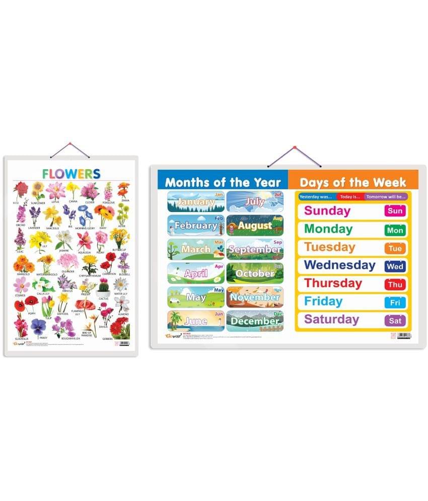 Set of 2 Flowers and MONTHS OF THE YEAR AND DAYS OF THE WEEK Early Learning Educational Charts for Kids | 20"X30" inch |Non-Tearable and Waterproof | Double Sided Laminated | Perfect for Homeschooling, Kindergarten and Nursery Students     			Set of 2 Flowers and MONTHS OF THE YEAR AND DAYS OF THE WEEK Early Learning Educational Charts for Kids | 20"X30" inch |Non-Tearable and Waterproof | Double Sided Laminated | Perfect for Homeschooling, Kindergarten and Nursery Students