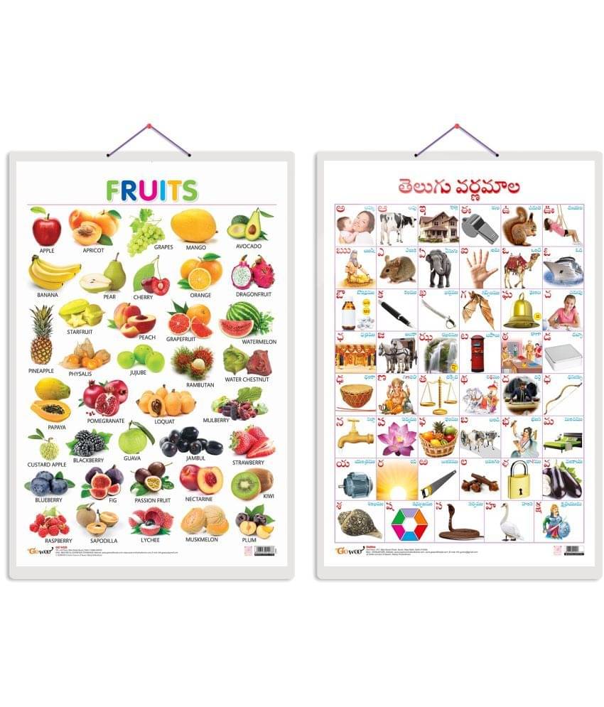     			Set of 2 Fruits and Telugu Alphabet (Telugu) Early Learning Educational Charts for Kids | 20"X30" inch |Non-Tearable and Waterproof | Double Sided Laminated | Perfect for Homeschooling, Kindergarten and Nursery Students