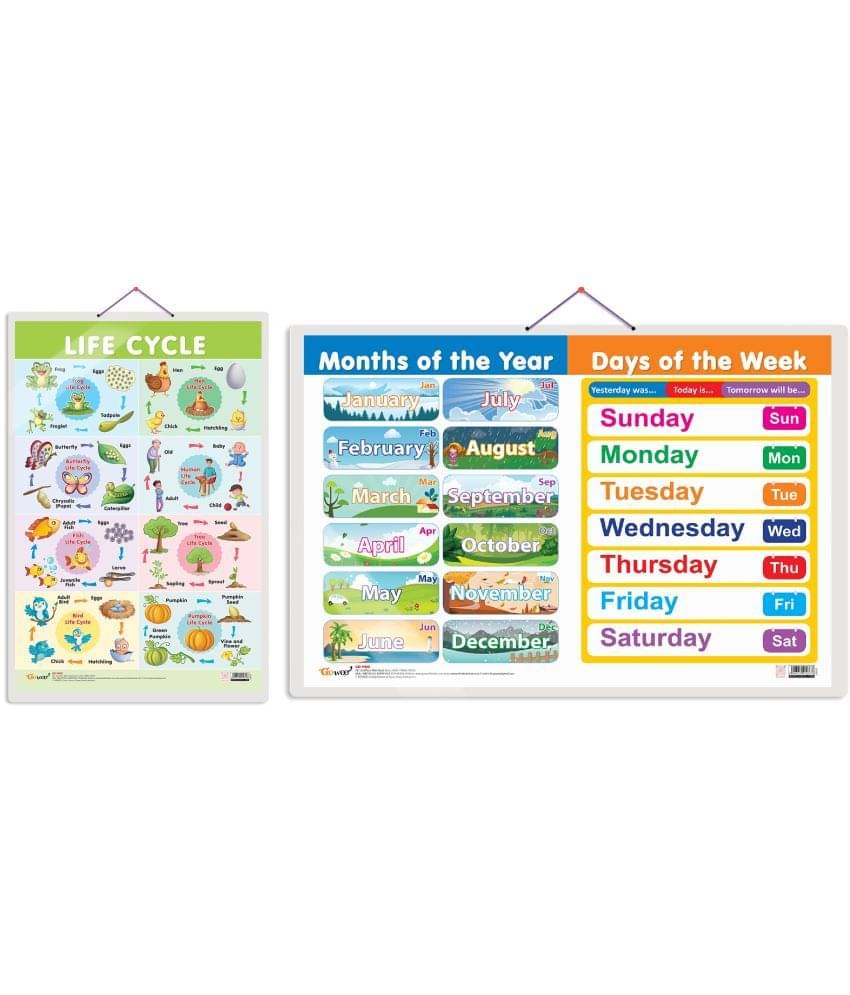 Set of 2 Life Cycle and MONTHS OF THE YEAR AND DAYS OF THE WEEK Early Learning Educational Charts for Kids | 20"X30" inch |Non-Tearable and Waterproof | Double Sided Laminated | Perfect for Homeschooling, Kindergarten and Nursery Students Set of 2 Life Cycle and MONTHS OF THE YEAR AND DAYS OF THE WEEK Early Learning Educational Charts for Kids | 20"X30" inch |Non-Tearable and Waterproof | Double Sided Laminated | Perfect for Homeschooling, Kindergarten and Nursery Students