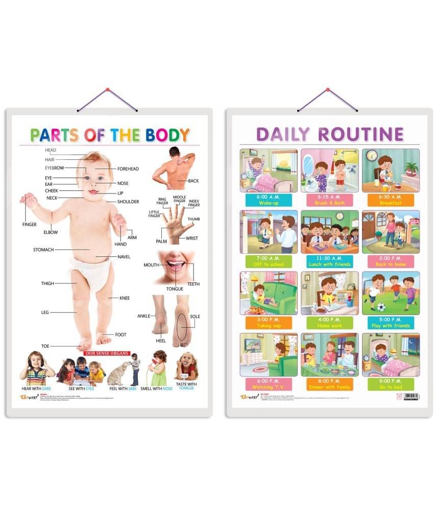 Set of 2 Parts of the Body and DAILY ROUTINE Early Learning Educational Charts for Kids | 20"X30" inch |Non-Tearable and Waterproof | Double Sided Laminated | Perfect for Homeschooling, Kindergarten and Nursery Students Set of 2 Parts of the Body and DAILY ROUTINE Early Learning Educational Charts for Kids | 20"X30" inch |Non-Tearable and Waterproof | Double Sided Laminated | Perfect for Homeschooling, Kindergarten and Nursery Students