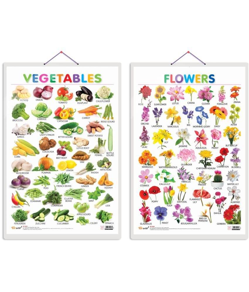 Set of 2 Vegetables and Flowers Early Learning Educational Charts for Kids | 20"X30" inch |Non-Tearable and Waterproof | Double Sided Laminated | Perfect for Homeschooling, Kindergarten and Nursery Students Set of 2 Vegetables and Flowers Early Learning Educational Charts for Kids | 20"X30" inch |Non-Tearable and Waterproof | Double Sided Laminated | Perfect for Homeschooling, Kindergarten and Nursery Students