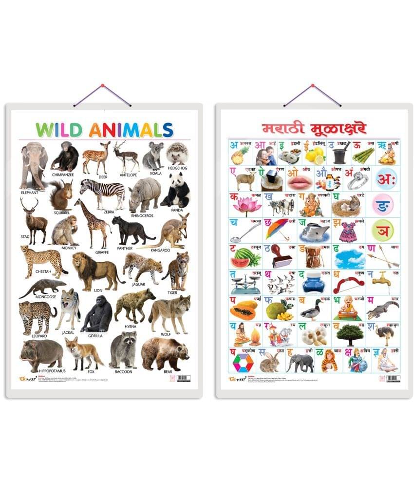 Set of 2 Wild Animals and Marathi Varnamala (Marathi) Early Learning Educational Charts for Kids | 20"X30" inch |Non-Tearable and Waterproof | Double Sided Laminated | Perfect for Homeschooling, Kindergarten and Nursery Students Set of 2 Wild Animals and Marathi Varnamala (Marathi) Early Learning Educational Charts for Kids | 20"X30" inch |Non-Tearable and Waterproof | Double Sided Laminated | Perfect for Homeschooling, Kindergarten and Nursery Students