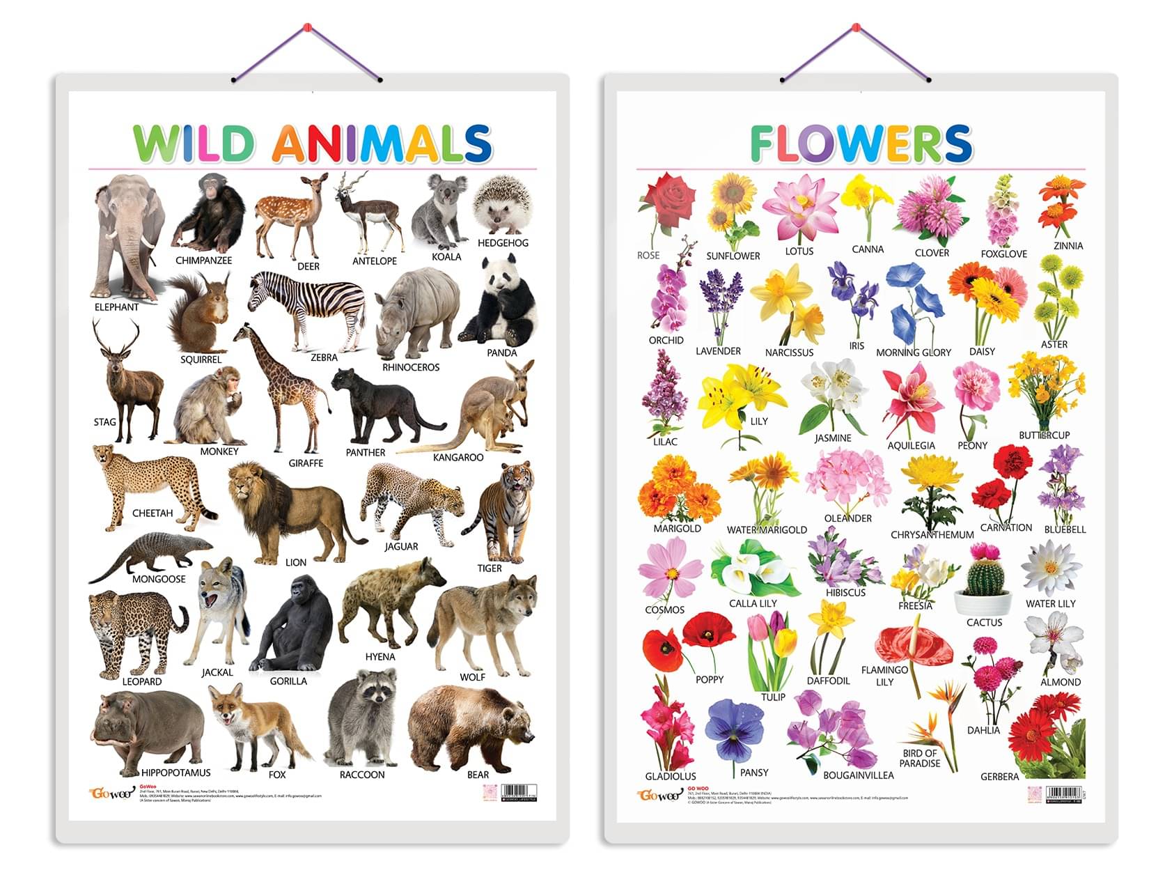    			Set of 2 Wild Animals and Flowers Early Learning Educational Charts for Kids | 20"X30" inch |Non-Tearable and Waterproof | Double Sided Laminated | Perfect for Homeschooling, Kindergarten and Nursery Students
