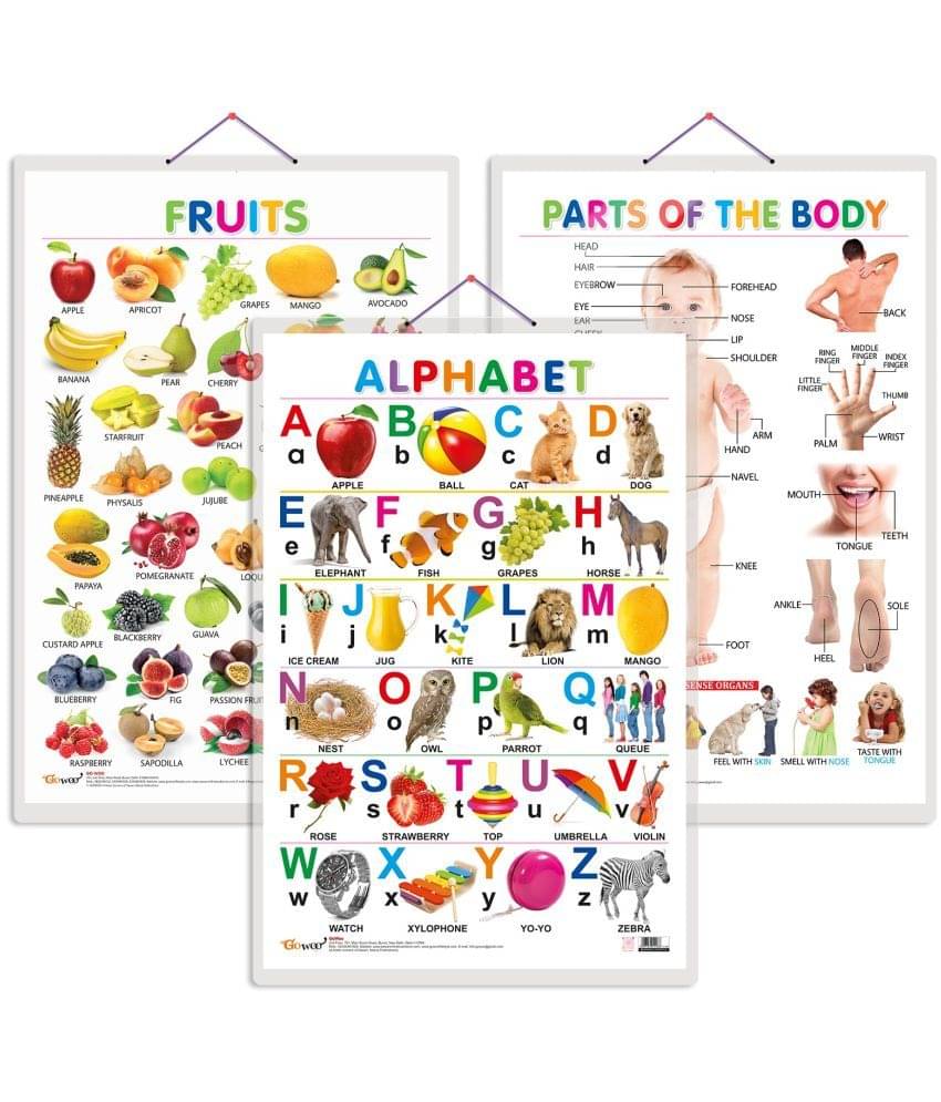 Set of 3 Alphabet, Fruits and Parts of the Body Early Learning Educational Charts for Kids | 20"X30" inch |Non-Tearable and Waterproof | Double Sided Laminated | Perfect for Homeschooling, Kindergarten and Nursery Students Set of 3 Alphabet, Fruits and Parts of the Body Early Learning Educational Charts for Kids | 20"X30" inch |Non-Tearable and Waterproof | Double Sided Laminated | Perfect for Homeschooling, Kindergarten and Nursery Students