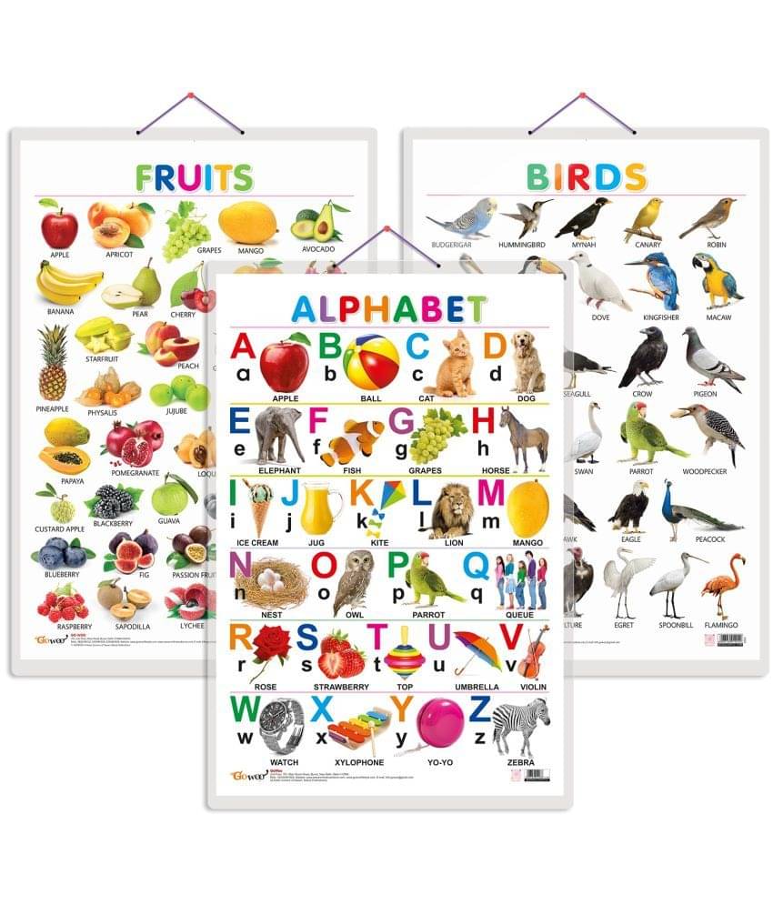 Set of 3 Alphabet, Fruits and Birds Early Learning Educational Charts for Kids | 20"X30" inch |Non-Tearable and Waterproof | Double Sided Laminated | Perfect for Homeschooling, Kindergarten and Nursery Students Set of 3 Alphabet, Fruits and Birds Early Learning Educational Charts for Kids | 20"X30" inch |Non-Tearable and Waterproof | Double Sided Laminated | Perfect for Homeschooling, Kindergarten and Nursery Students