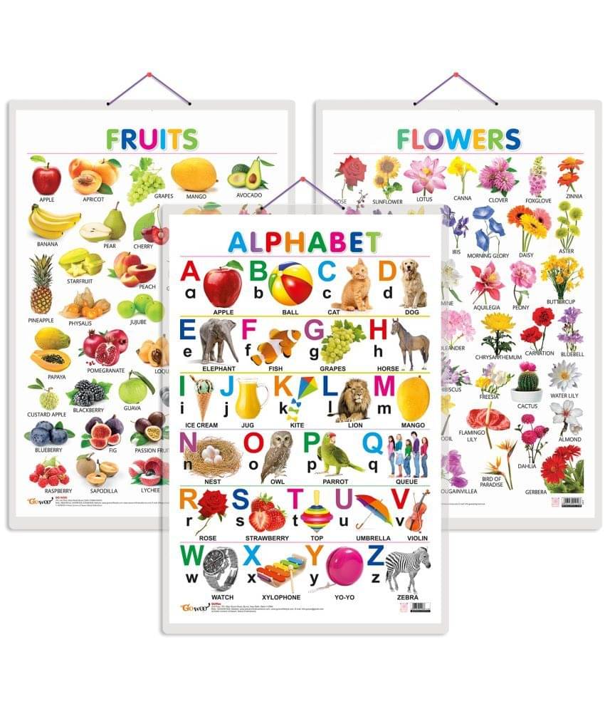 Set of 3 Alphabet, Fruits and Flowers Early Learning Educational Charts for Kids | 20"X30" inch |Non-Tearable and Waterproof | Double Sided Laminated | Perfect for Homeschooling, Kindergarten and Nursery Students Set of 3 Alphabet, Fruits and Flowers Early Learning Educational Charts for Kids | 20"X30" inch |Non-Tearable and Waterproof | Double Sided Laminated | Perfect for Homeschooling, Kindergarten and Nursery Students