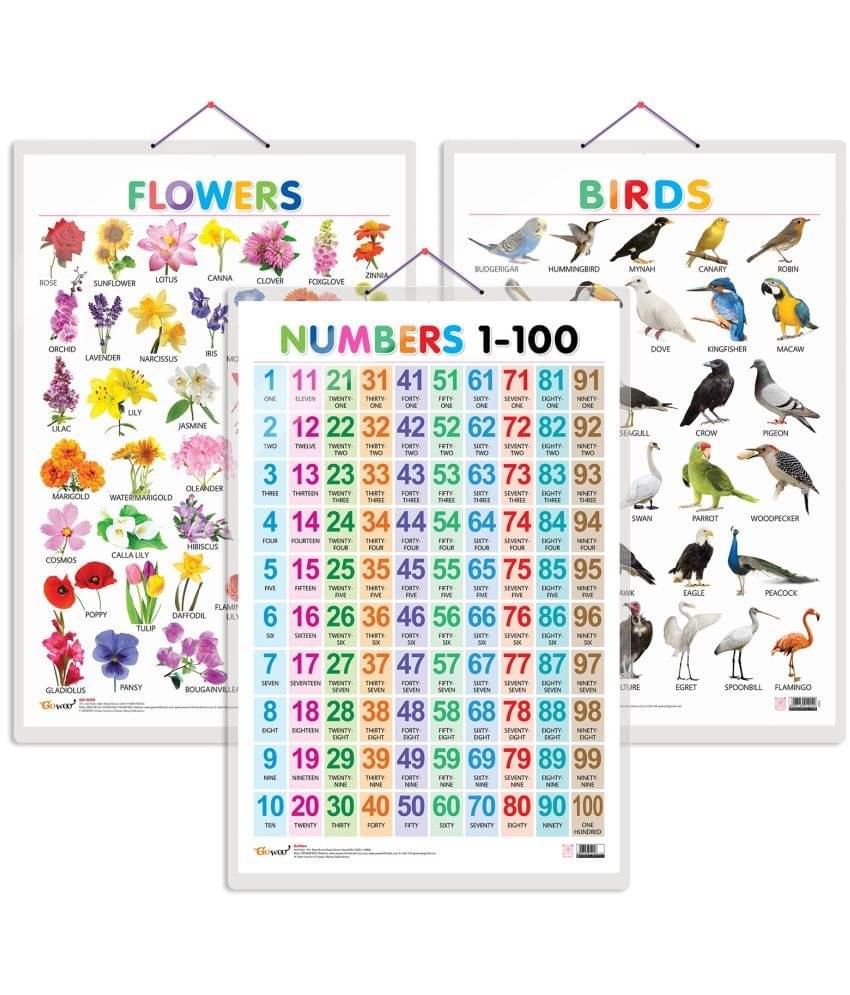 Set of 3 Birds, Flowers and Numbers 1-100 Early Learning Educational Charts for Kids | 20"X30" inch |Non-Tearable and Waterproof | Double Sided Laminated | Perfect for Homeschooling, Kindergarten and Nursery Students Set of 3 Birds, Flowers and Numbers 1-100 Early Learning Educational Charts for Kids | 20"X30" inch |Non-Tearable and Waterproof | Double Sided Laminated | Perfect for Homeschooling, Kindergarten and Nursery Students