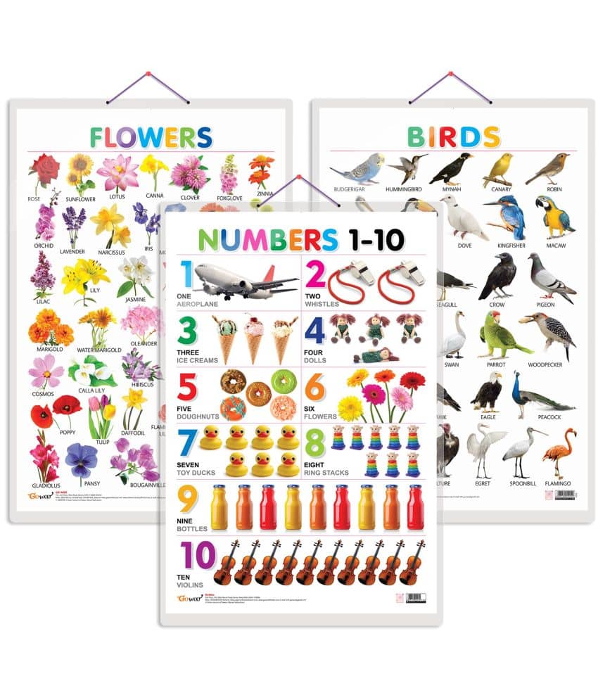 Set of 3 Birds, Flowers and Numbers 1-10 Early Learning Educational Charts for Kids | 20"X30" inch |Non-Tearable and Waterproof | Double Sided Laminated | Perfect for Homeschooling, Kindergarten and Nursery Students