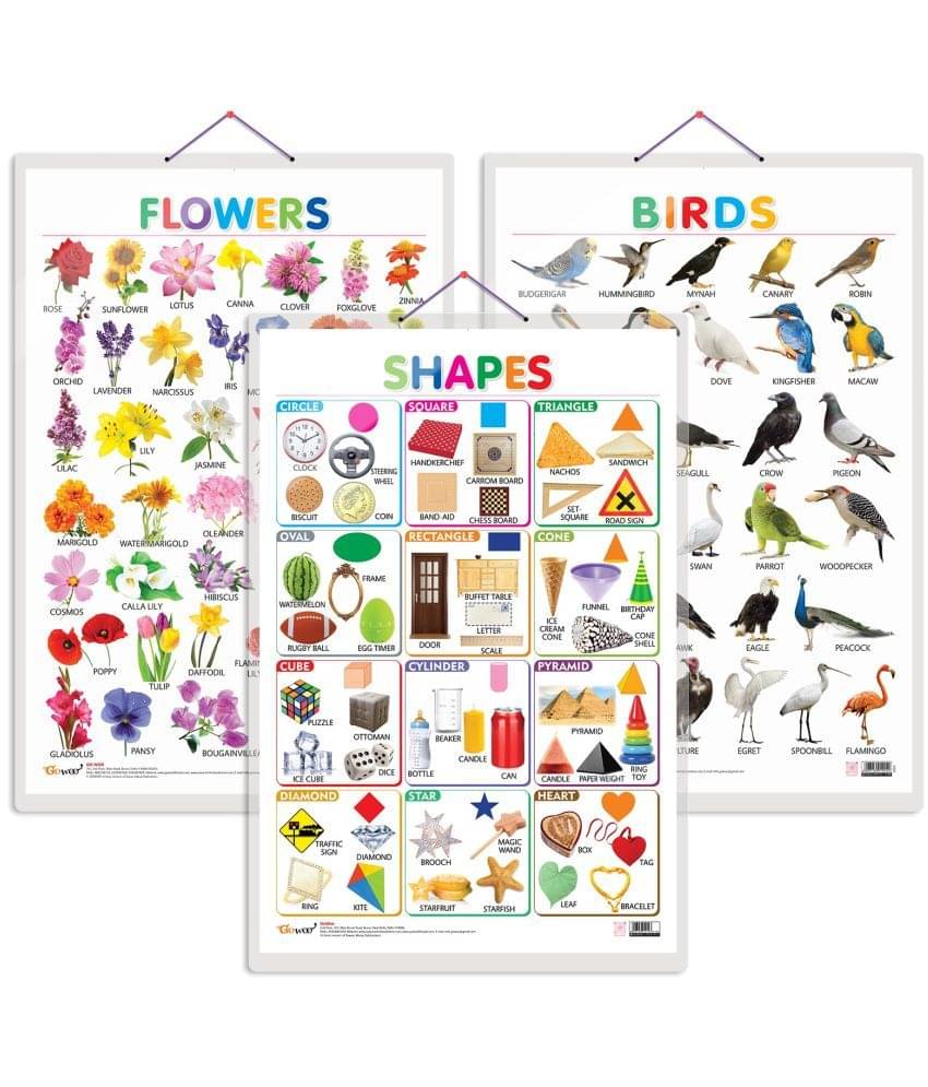 Set of 3 Birds, Flowers and Shapes Early Learning Educational Charts for Kids | 20"X30" inch |Non-Tearable and Waterproof | Double Sided Laminated | Perfect for Homeschooling, Kindergarten and Nursery Students Set of 3 Birds, Flowers and Shapes Early Learning Educational Charts for Kids | 20"X30" inch |Non-Tearable and Waterproof | Double Sided Laminated | Perfect for Homeschooling, Kindergarten and Nursery Students