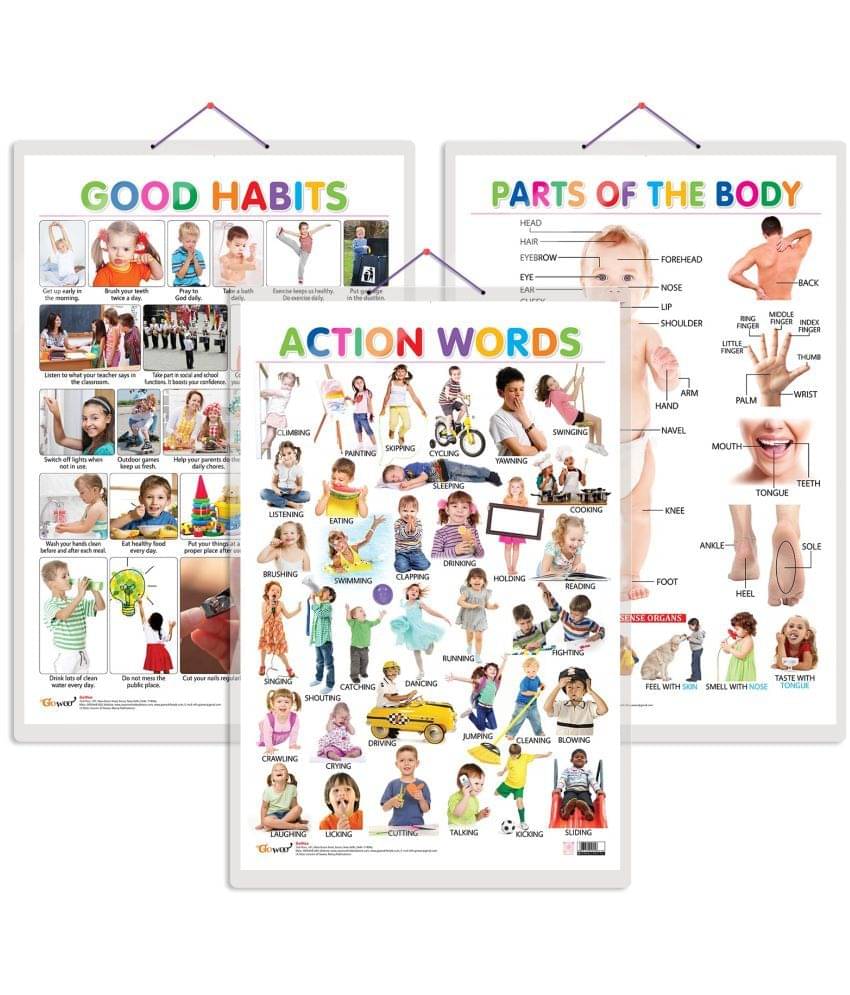 Set of 3 Parts of the Body, Good Habits and Action Words Chart for Kids | 20"X30" inch |Non-Tearable and Waterproof | Double Sided Laminated | Perfect for Homeschooling, Kindergarten and Nursery Students Set of 3 Parts of the Body, Good Habits and Action Words Chart for Kids | 20"X30" inch |Non-Tearable and Waterproof | Double Sided Laminated | Perfect for Homeschooling, Kindergarten and Nursery Students