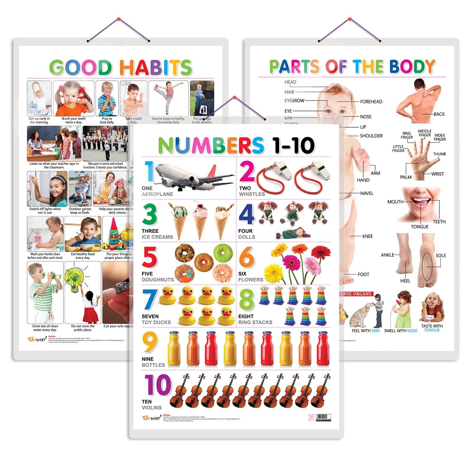     			Set of 3 Parts of the Body, Good Habits and Numbers 1-10 Early Learning Educational Charts for Kids | 20"X30" inch |Non-Tearable and Waterproof | Double Sided Laminated | Perfect for Homeschooling, Kindergarten and Nursery Students