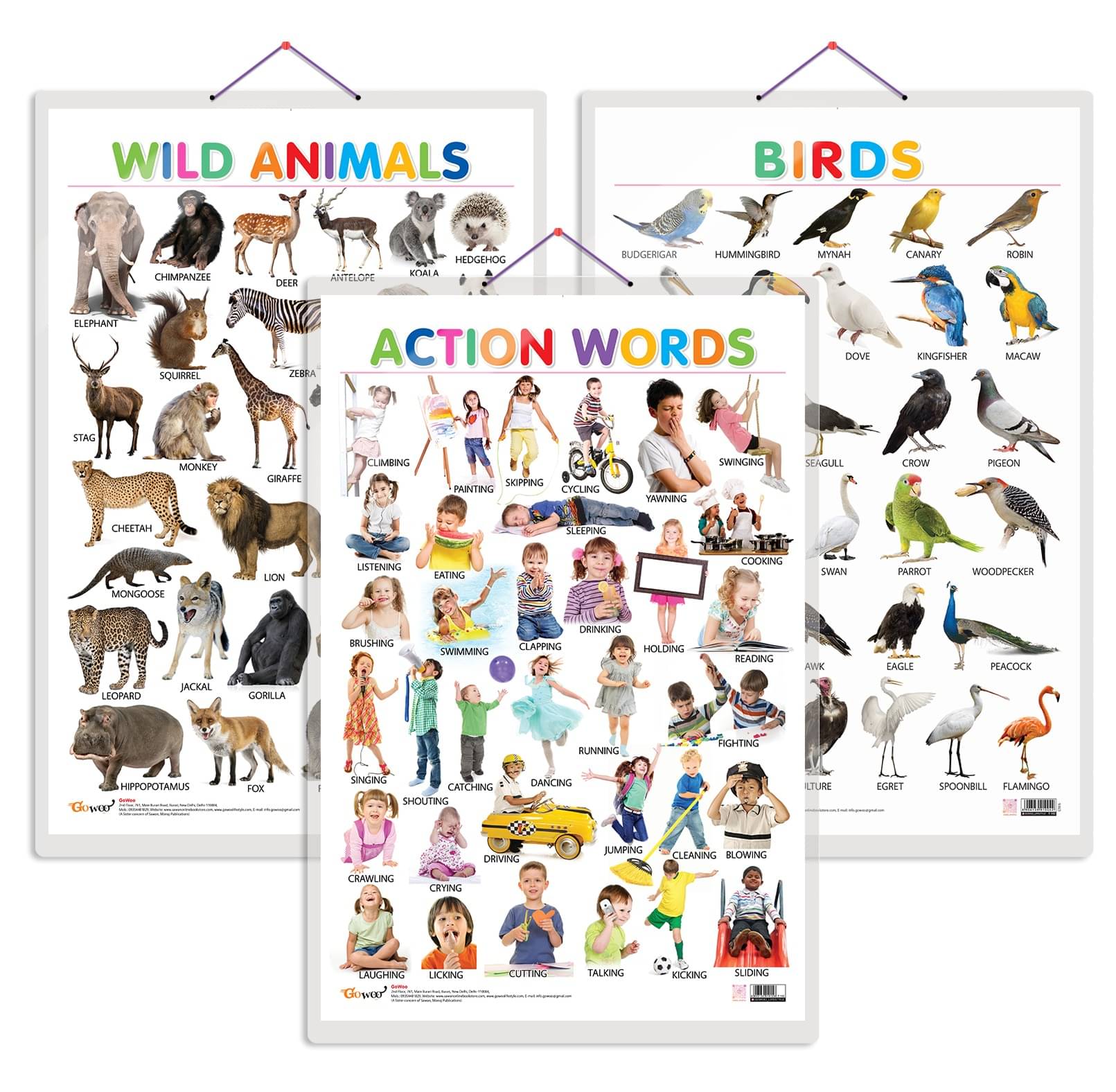 Set of 3 Wild Animals, Birds and Action Words Early Learning Educational Charts for Kids | 20"X30" inch |Non-Tearable and Waterproof | Double Sided Laminated | Perfect for Homeschooling, Kindergarten and Nursery Students Set of 3 Wild Animals, Birds and Action Words Early Learning Educational Charts for Kids | 20"X30" inch |Non-Tearable and Waterproof | Double Sided Laminated | Perfect for Homeschooling, Kindergarten and Nursery Students