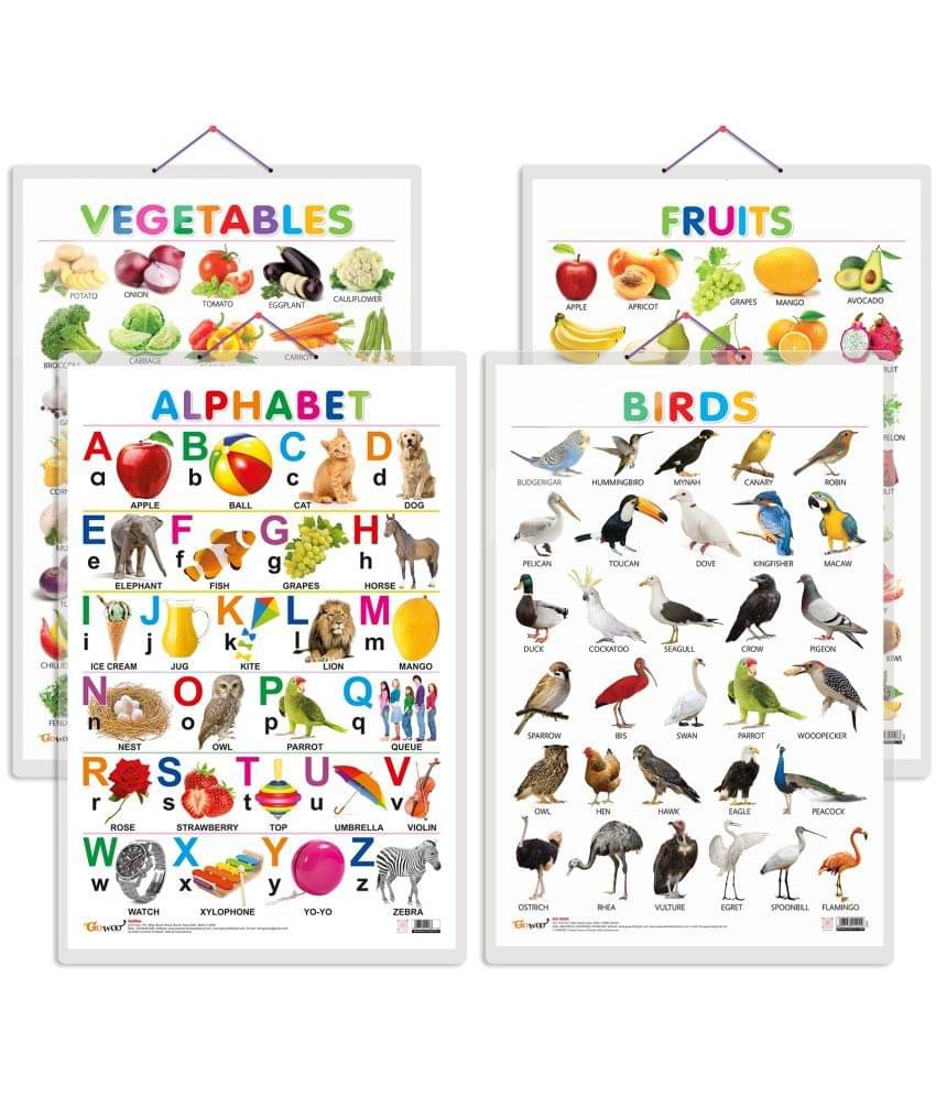 Set of 4 Alphabet, Fruits, Vegetables and Birds Early Learning Educational Charts for Kids | 20"X30" inch |Non-Tearable and Waterproof | Double Sided Laminated | Perfect for Homeschooling, Kindergarten and Nursery Students Set of 4 Alphabet, Fruits, Vegetables and Birds Early Learning Educational Charts for Kids | 20"X30" inch |Non-Tearable and Waterproof | Double Sided Laminated | Perfect for Homeschooling, Kindergarten and Nursery Students