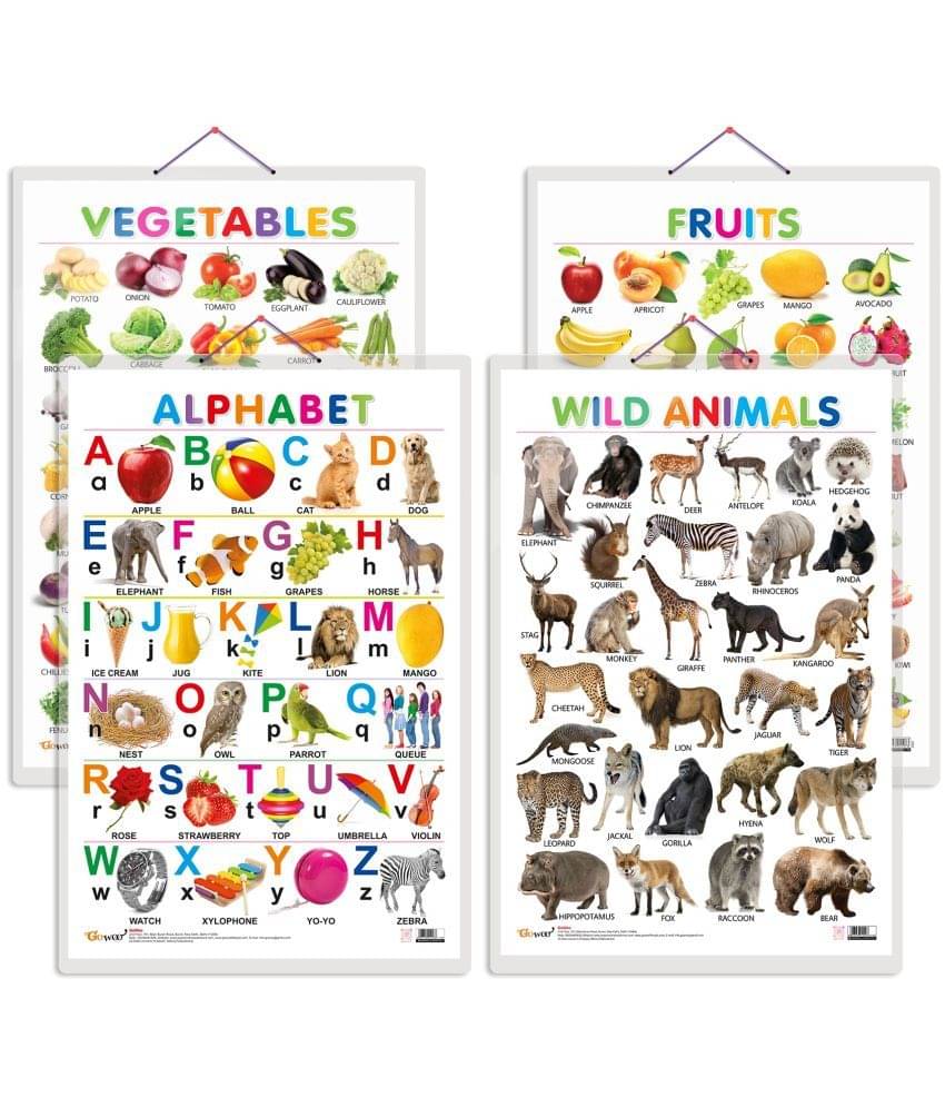 Set of 4 Alphabet, Fruits, Vegetable and Wild Animals Early Learning Educational Charts for Kids | 20"X30" inch |Non-Tearable and Waterproof | Double Sided Laminated | Perfect for Homeschooling, Kindergarten and Nursery Students Set of 4 Alphabet, Fruits, Vegetable and Wild Animals Early Learning Educational Charts for Kids | 20"X30" inch |Non-Tearable and Waterproof | Double Sided Laminated | Perfect for Homeschooling, Kindergarten and Nursery Students