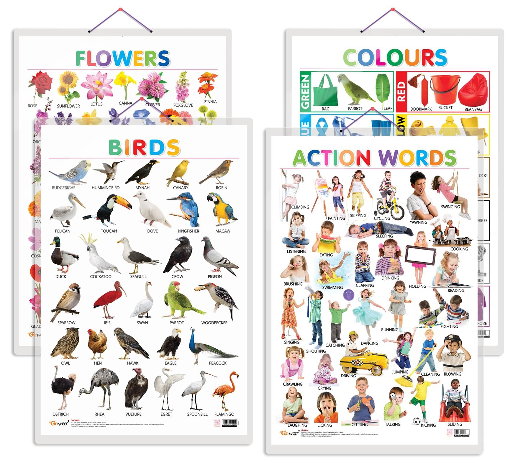 Set of 4 Birds, Flowers, Colours and Action Words Early Learning Educational Charts for Kids | 20"X30" inch |Non-Tearable and Waterproof | Double Sided Laminated | Perfect for Homeschooling, Kindergarten and Nursery Students Set of 4 Birds, Flowers, Colours and Action Words Early Learning Educational Charts for Kids | 20"X30" inch |Non-Tearable and Waterproof | Double Sided Laminated | Perfect for Homeschooling, Kindergarten and Nursery Students