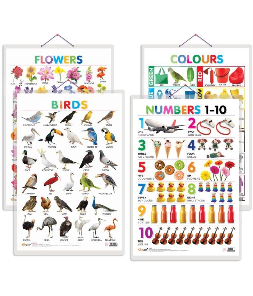 Set of 4 Birds, Flowers, Colours and Numbers 1-10 Early Learning Educational Charts for Kids | 20"X30" inch |Non-Tearable and Waterproof | Double Sided Laminated | Perfect for Homeschooling, Kindergarten and Nursery Students     			Set of 4 Birds, Flowers, Colours and Numbers 1-10 Early Learning Educational Charts for Kids | 20"X30" inch |Non-Tearable and Waterproof | Double Sided Laminated | Perfect for Homeschooling, Kindergarten and Nursery Students
