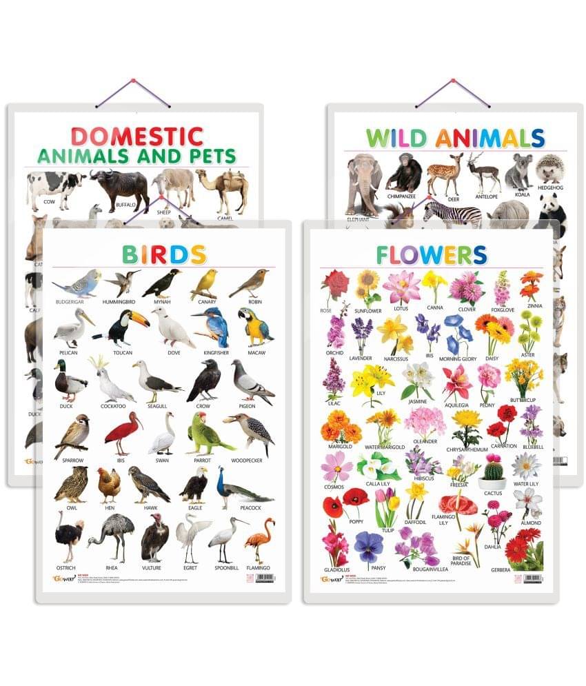 Set of 4 Domestic Animals and Pets, Wild Animals, Birds and Flowers Early Learning Educational Charts for Kids | 20"X30" inch |Non-Tearable and Waterproof | Double Sided Laminated | Perfect for Homeschooling, Kindergarten and Nursery Students     			Set of 4 Domestic Animals and Pets, Wild Animals, Birds and Flowers Early Learning Educational Charts for Kids | 20"X30" inch |Non-Tearable and Waterproof | Double Sided Laminated | Perfect for Homeschooling, Kindergarten and Nursery Students