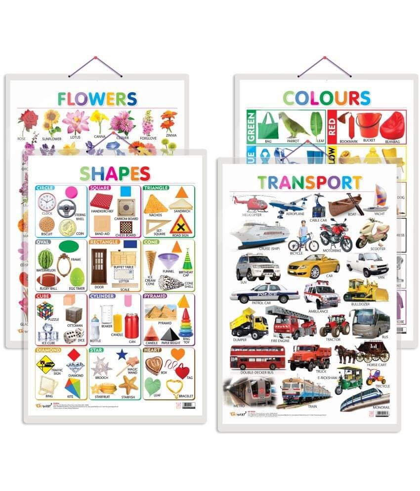 Set of 4 Flowers, Colours, Shapes and Transport Early Learning Educational Charts for Kids | 20"X30" inch |Non-Tearable and Waterproof | Double Sided Laminated | Perfect for Homeschooling, Kindergarten and Nursery Students Set of 4 Flowers, Colours, Shapes and Transport Early Learning Educational Charts for Kids | 20"X30" inch |Non-Tearable and Waterproof | Double Sided Laminated | Perfect for Homeschooling, Kindergarten and Nursery Students