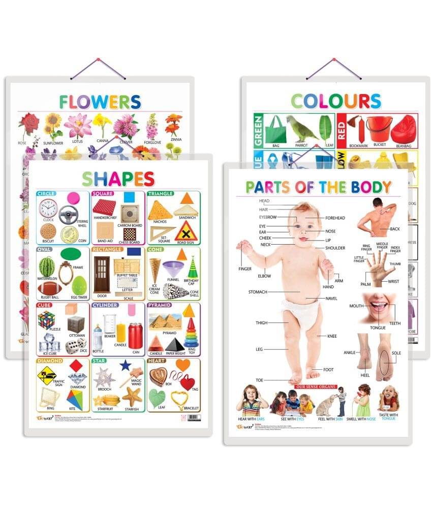 Set of 4 Flowers, Colours, Shapes and Parts of the Body Early Learning Educational Charts for Kids | 20"X30" inch |Non-Tearable and Waterproof | Double Sided Laminated | Perfect for Homeschooling, Kindergarten and Nursery Students Set of 4 Flowers, Colours, Shapes and Parts of the Body Early Learning Educational Charts for Kids | 20"X30" inch |Non-Tearable and Waterproof | Double Sided Laminated | Perfect for Homeschooling, Kindergarten and Nursery Students
