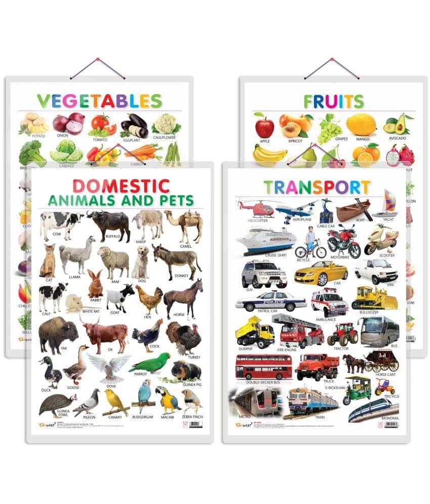 Set of 4 Fruits, Vegetables, Domestic Animals and Pets and Transport Early Learning Educational Charts for Kids | 20"X30" inch |Non-Tearable and Waterproof | Double Sided Laminated | Perfect for Homeschooling, Kindergarten and Nursery Students     			Set of 4 Fruits, Vegetables, Domestic Animals and Pets and Transport Early Learning Educational Charts for Kids | 20"X30" inch |Non-Tearable and Waterproof | Double Sided Laminated | Perfect for Homeschooling, Kindergarten and Nursery Students