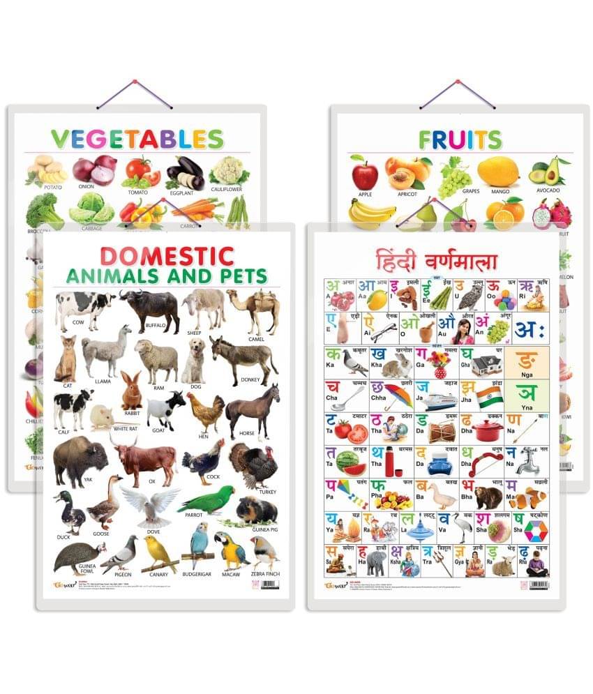 Set of 4 Fruits, Vegetables, Domestic Animals and Pets and Hindi Varnamala Early Learning Educational Charts for Kids | 20"X30" inch |Non-Tearable and Waterproof | Double Sided Laminated | Perfect for Homeschooling, Kindergarten and Nursery Students Set of 4 Fruits, Vegetables, Domestic Animals and Pets and Hindi Varnamala Early Learning Educational Charts for Kids | 20"X30" inch |Non-Tearable and Waterproof | Double Sided Laminated | Perfect for Homeschooling, Kindergarten and Nursery Students